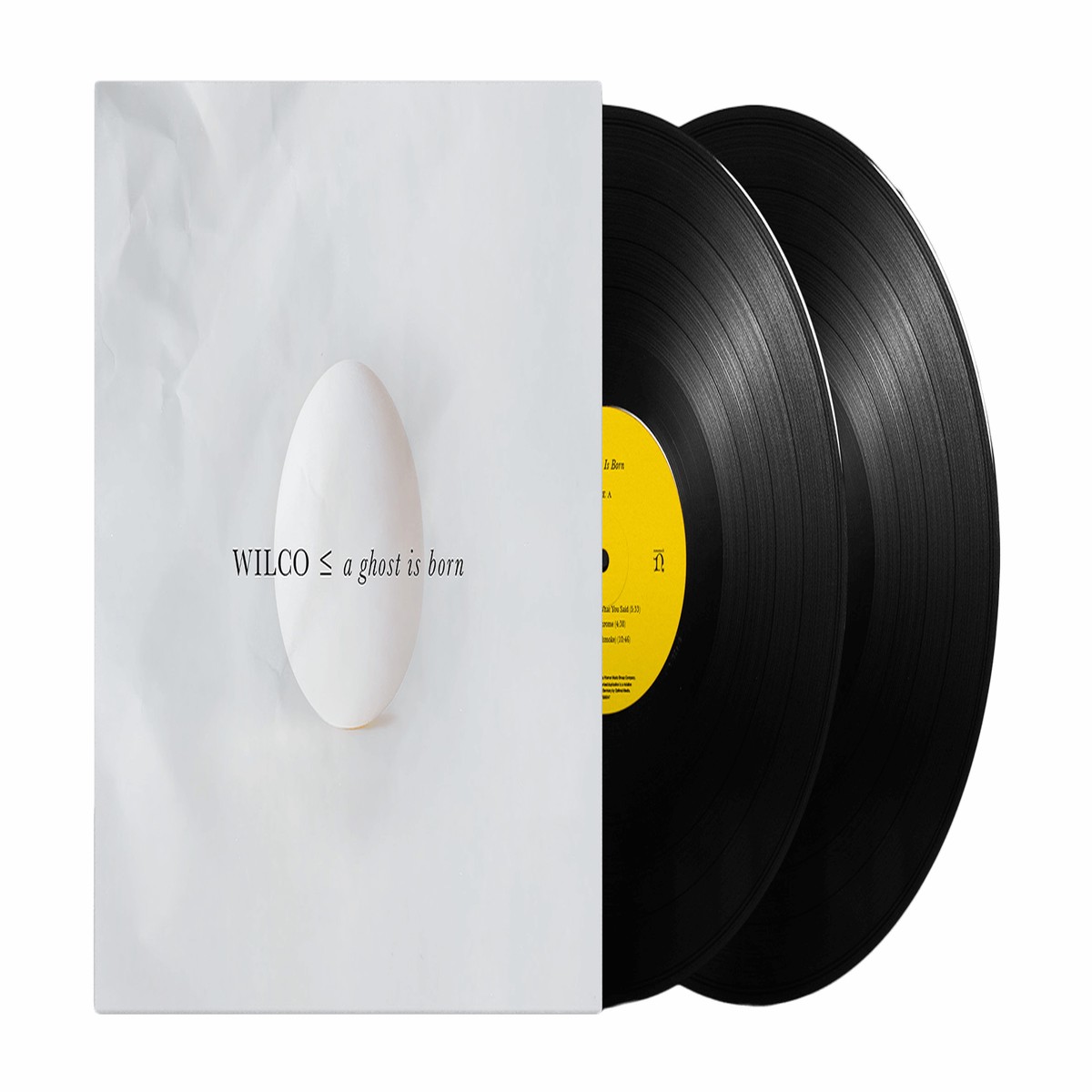 Wilco : A Ghost Is Born