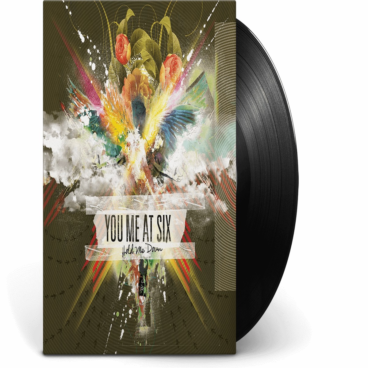 You Me At Six : Hold Me Down