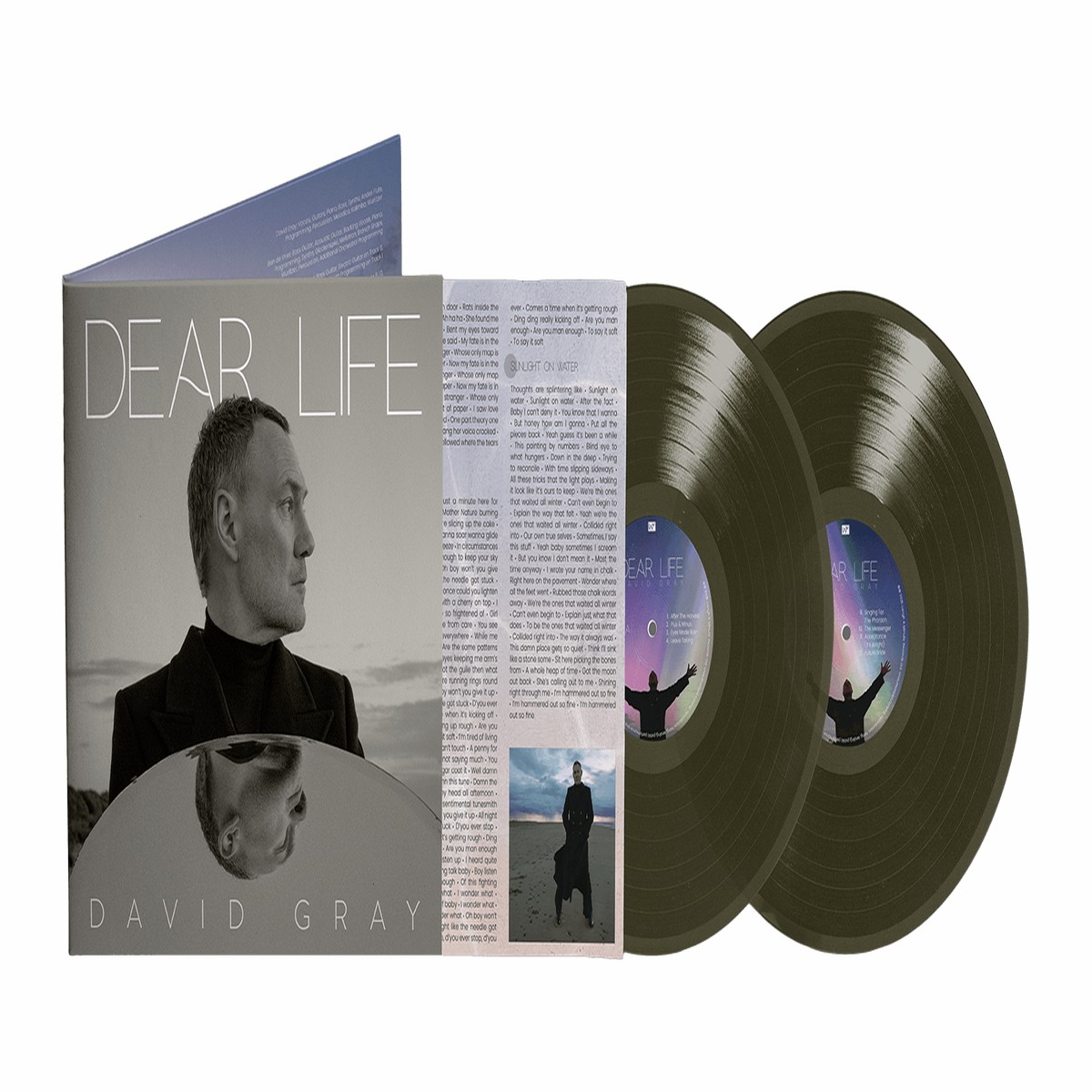 David Gray : Dear Life (Coloured Vinyl)