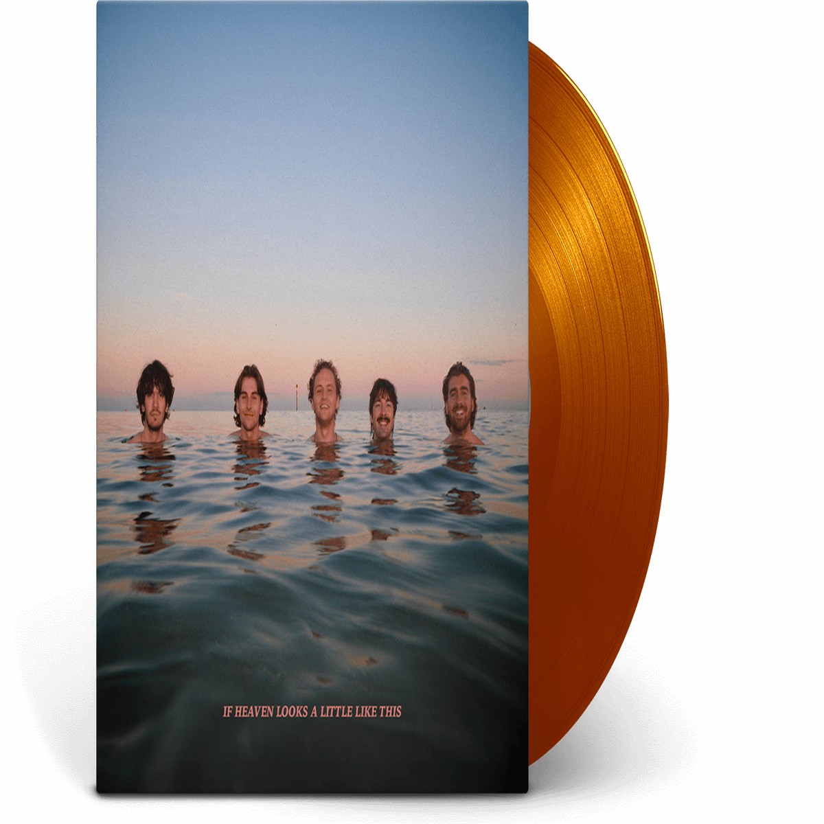 Delights : If Heaven Looks A Little Like This (Orange Vinyl)