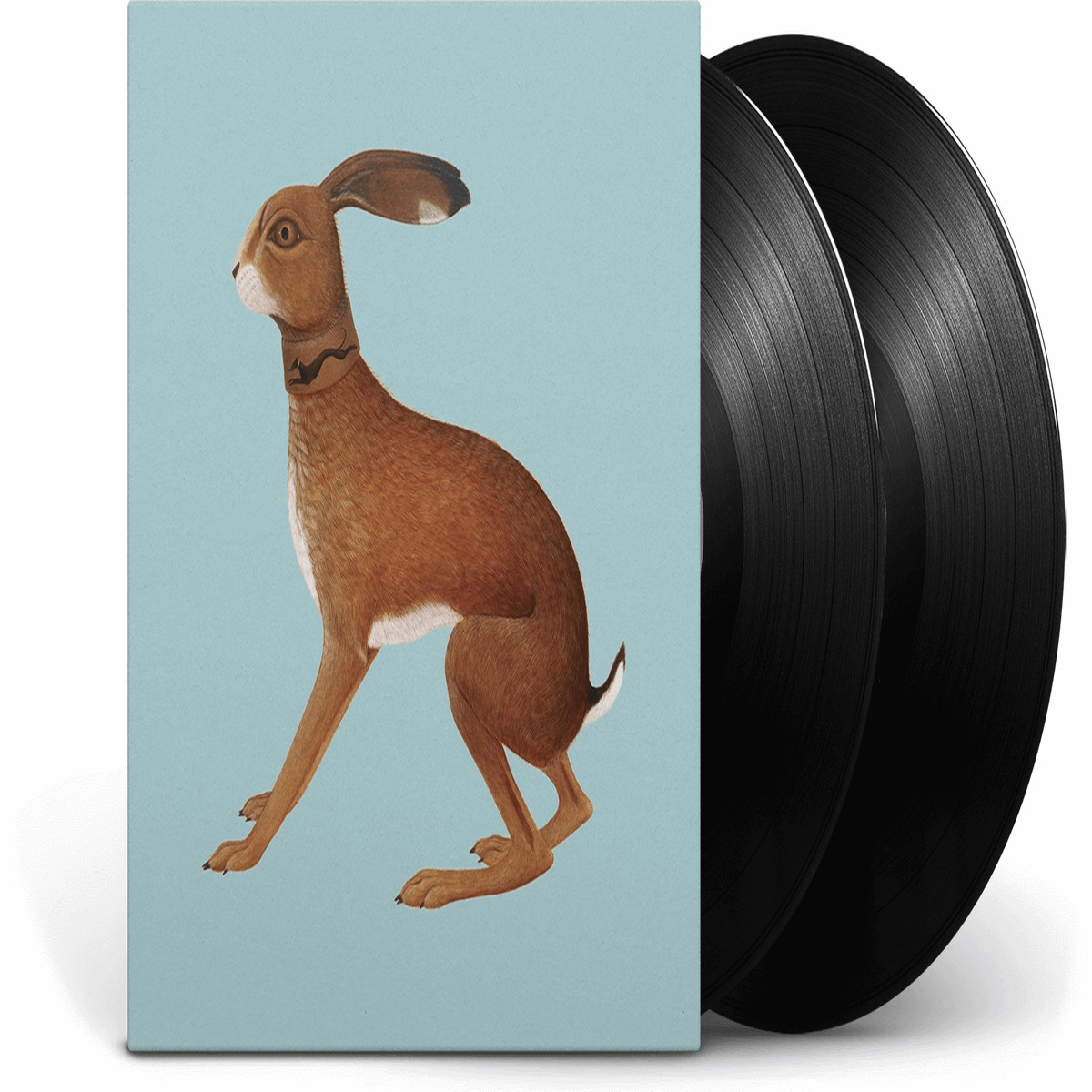 Vashti Bunyan : Lookaftering Expanded Edition