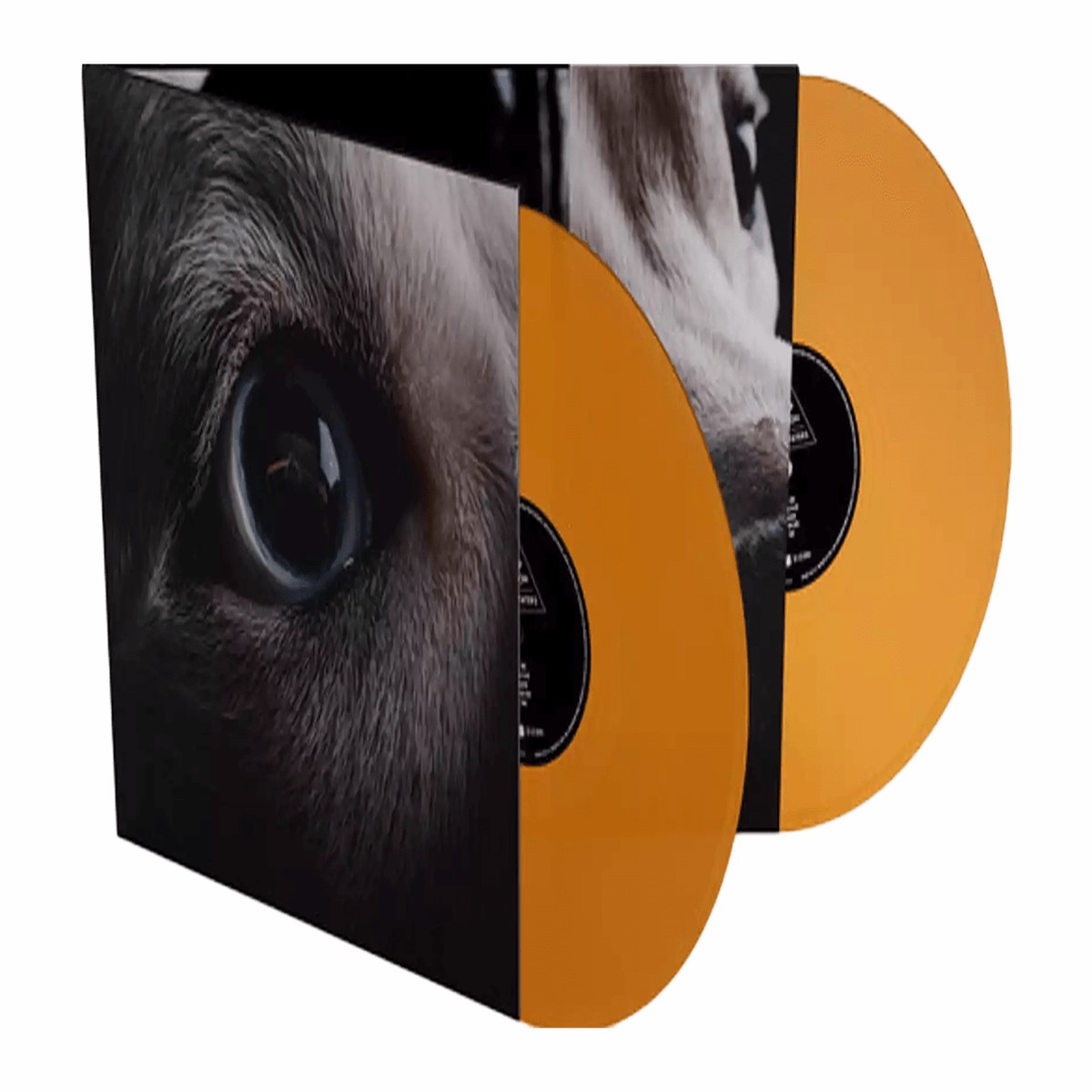 Roger Waters : Dark Side Of The Moon Redux (Orange Vinyl)