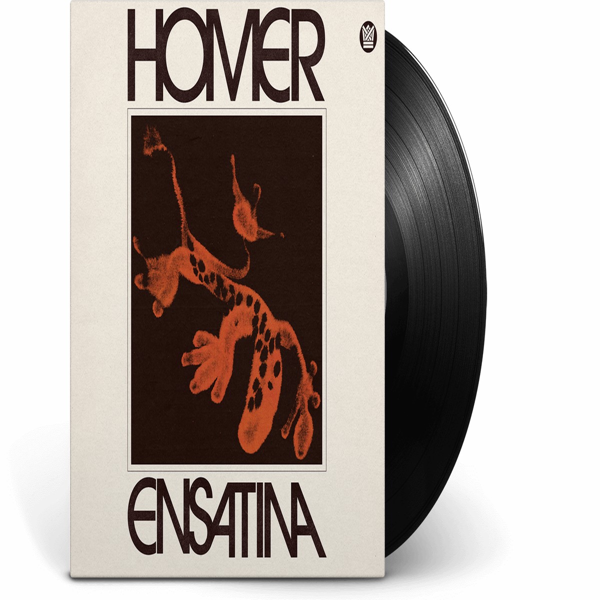 Homer : Ensatina