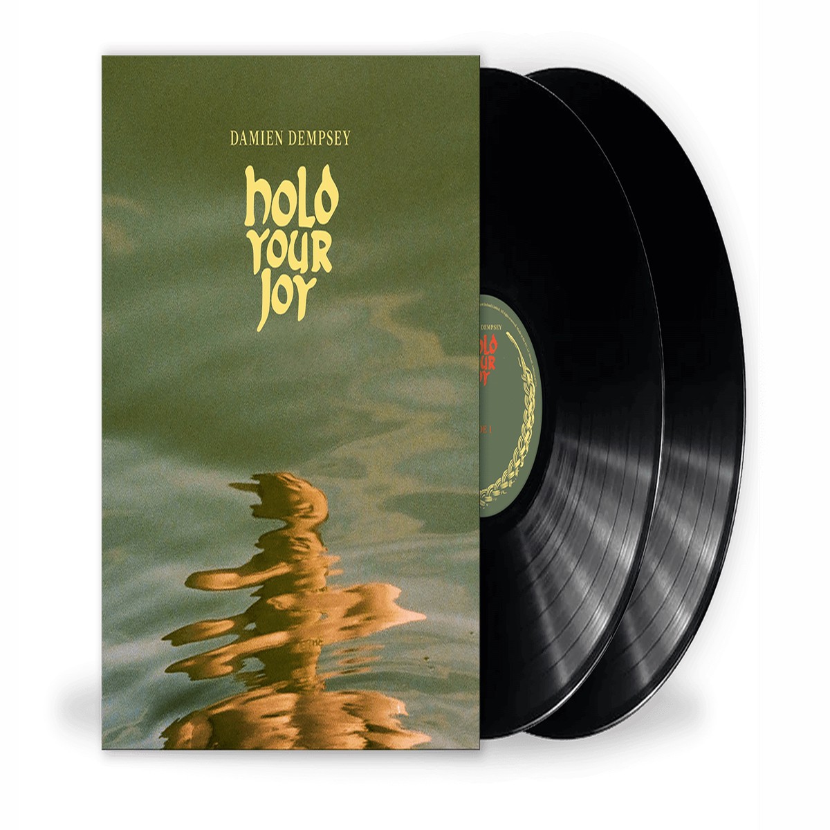 Damien Dempsey : Hold Your Joy