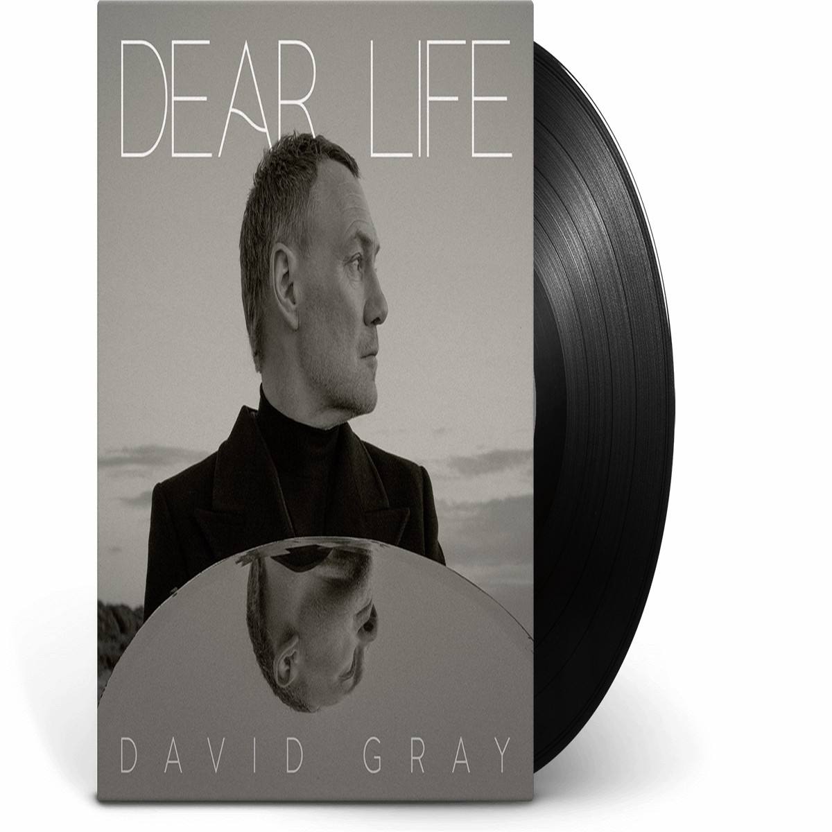 David Gray : Dear Life