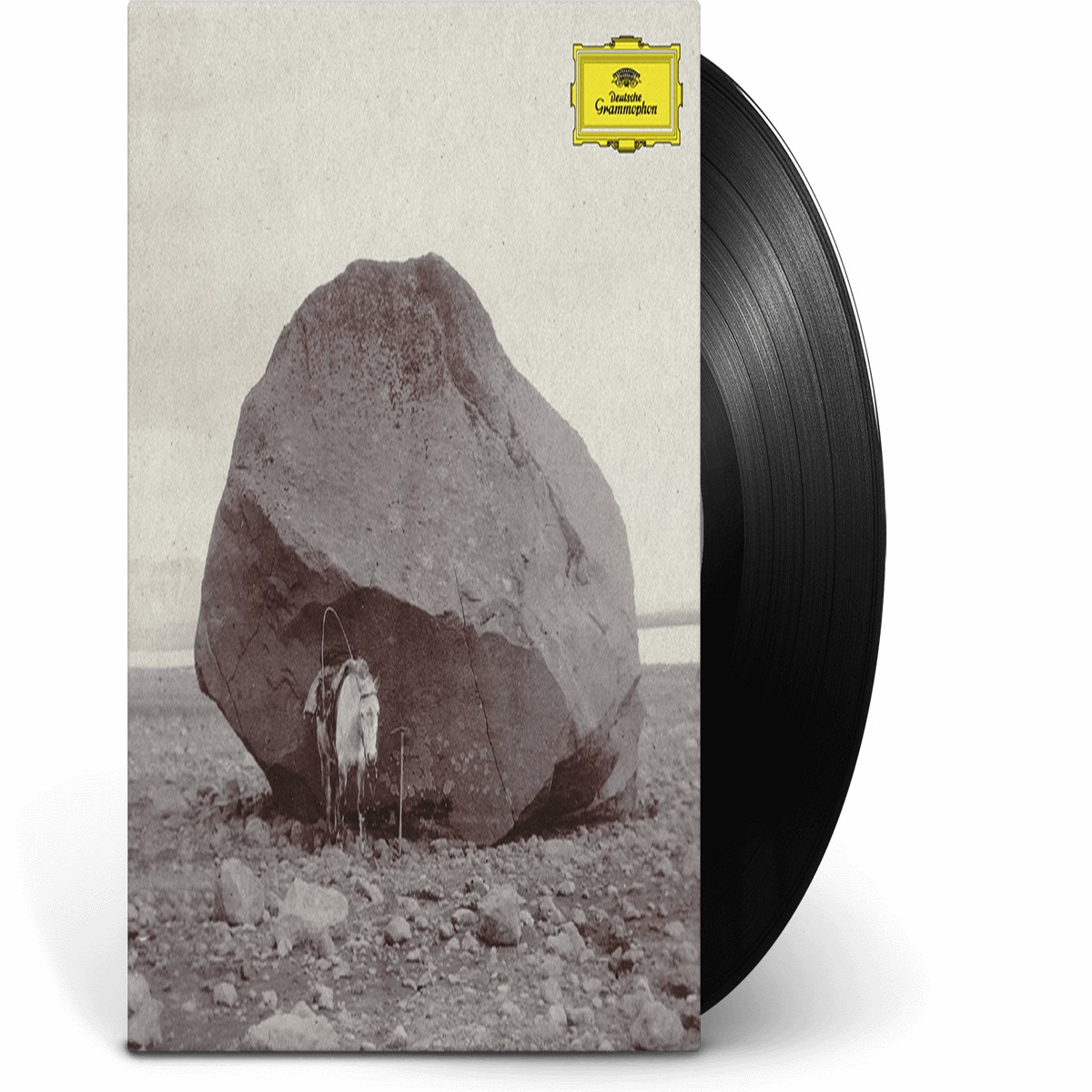 Snorri Hallgrmsson : Longer Shadows, Softer Stones