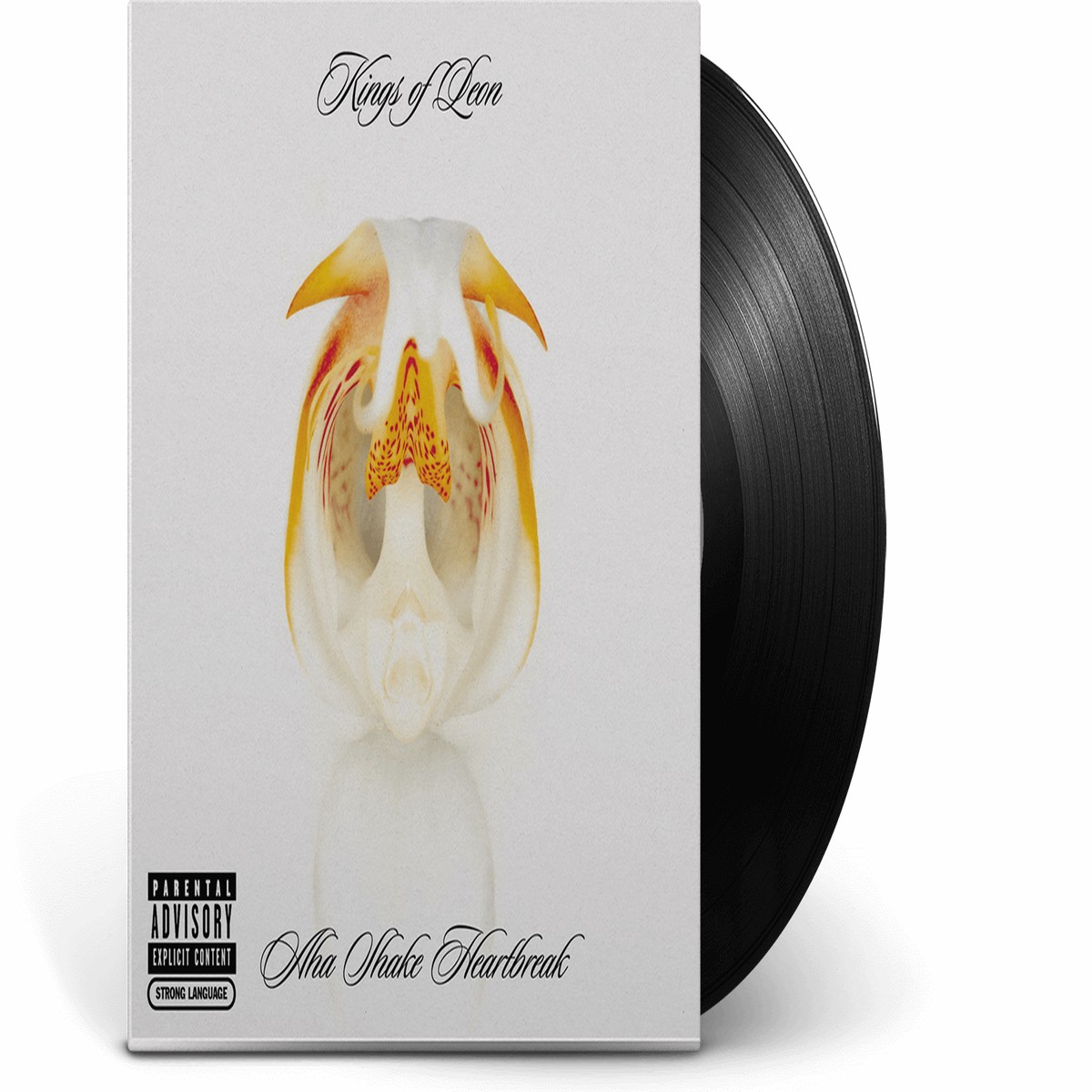 New Arrival Kings Of Leon : Aha Shake Heartbreak