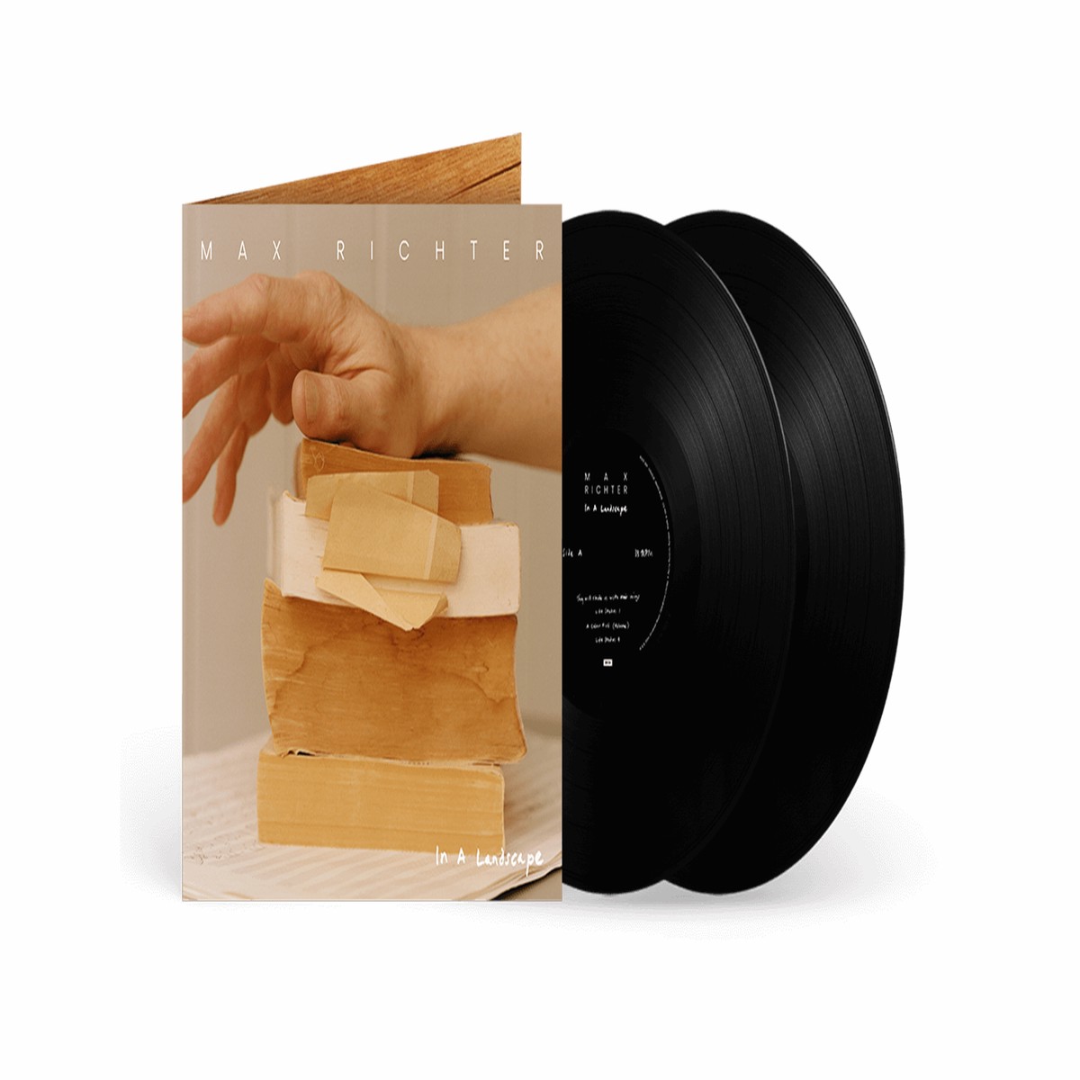 Max Richter : In A Landscape