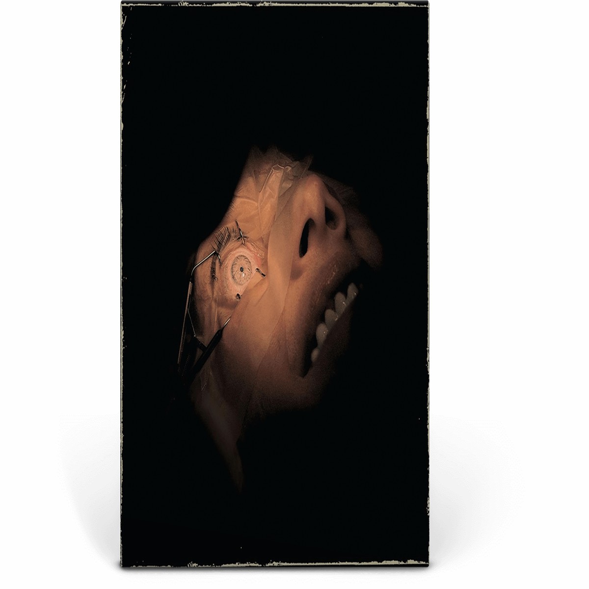 Exhumed : Anatomy Is Destiny (Royal Blue with Splatter Edition Vinyl)