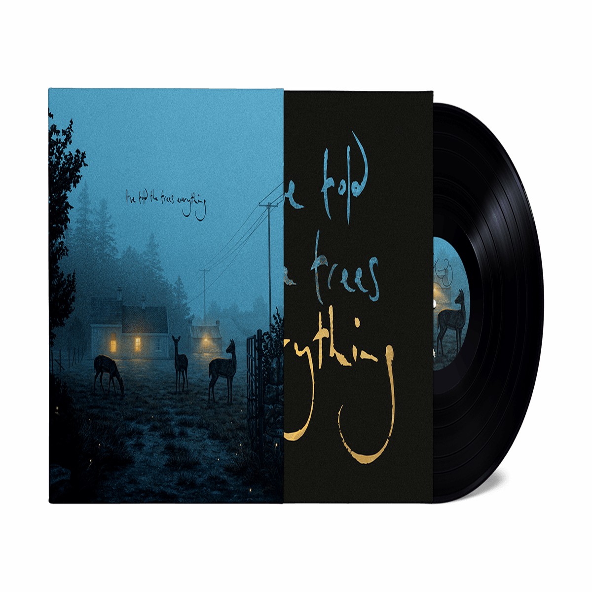 Dermot Kennedy : Ive told the trees everything (140g Black Vinyl)