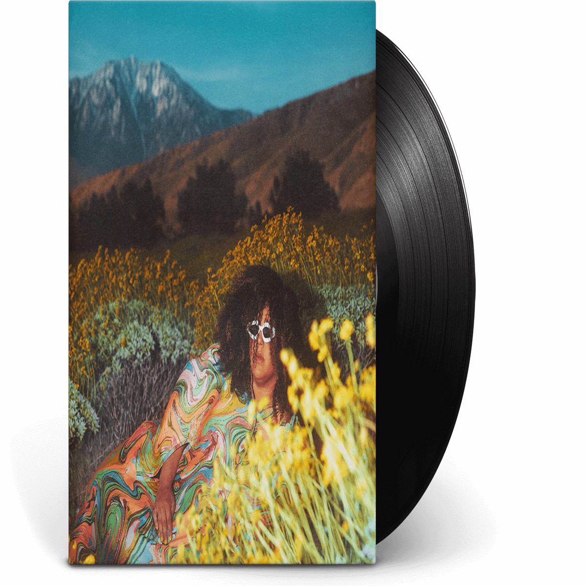 Brittany Howard : What Now