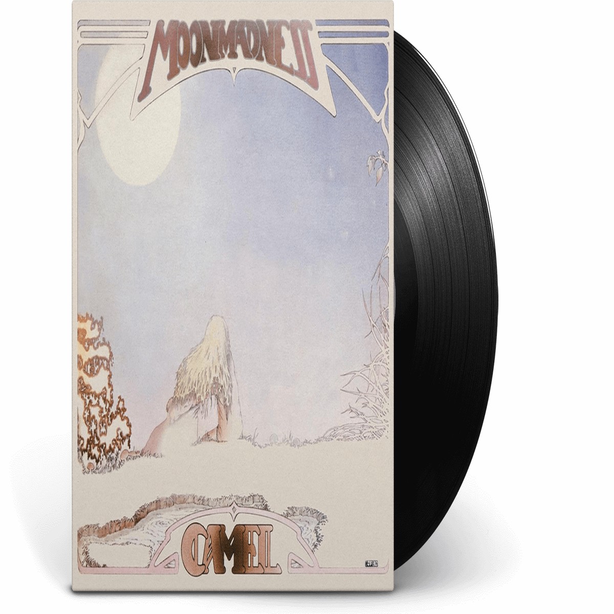 New Arrival Camel : Moonmadness