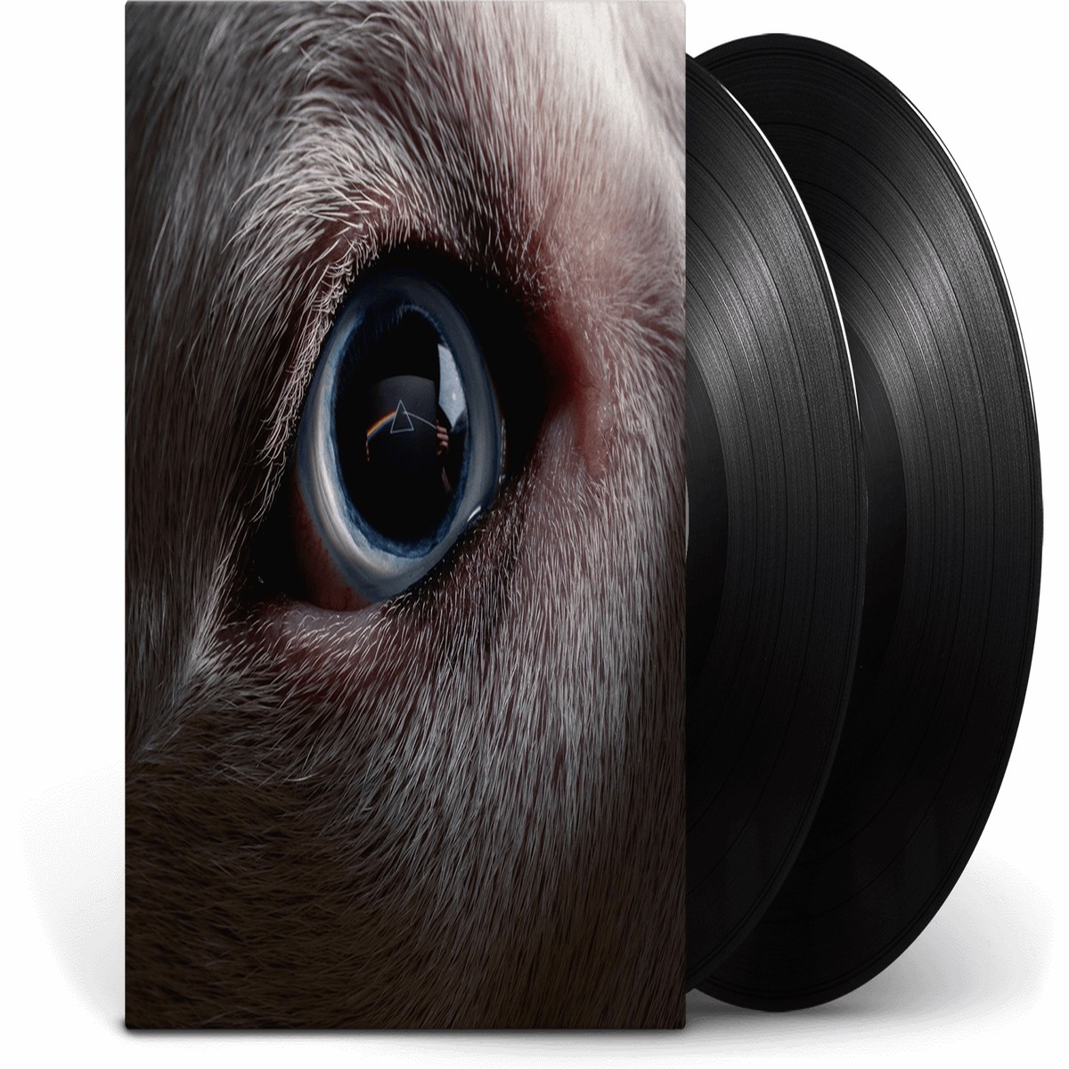 New Arrival Roger Waters : The Dark Side of the Moon Redux