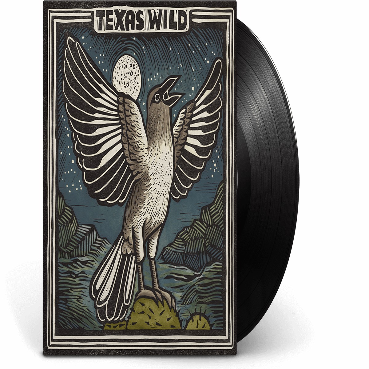 Various Artists : Texas Wild