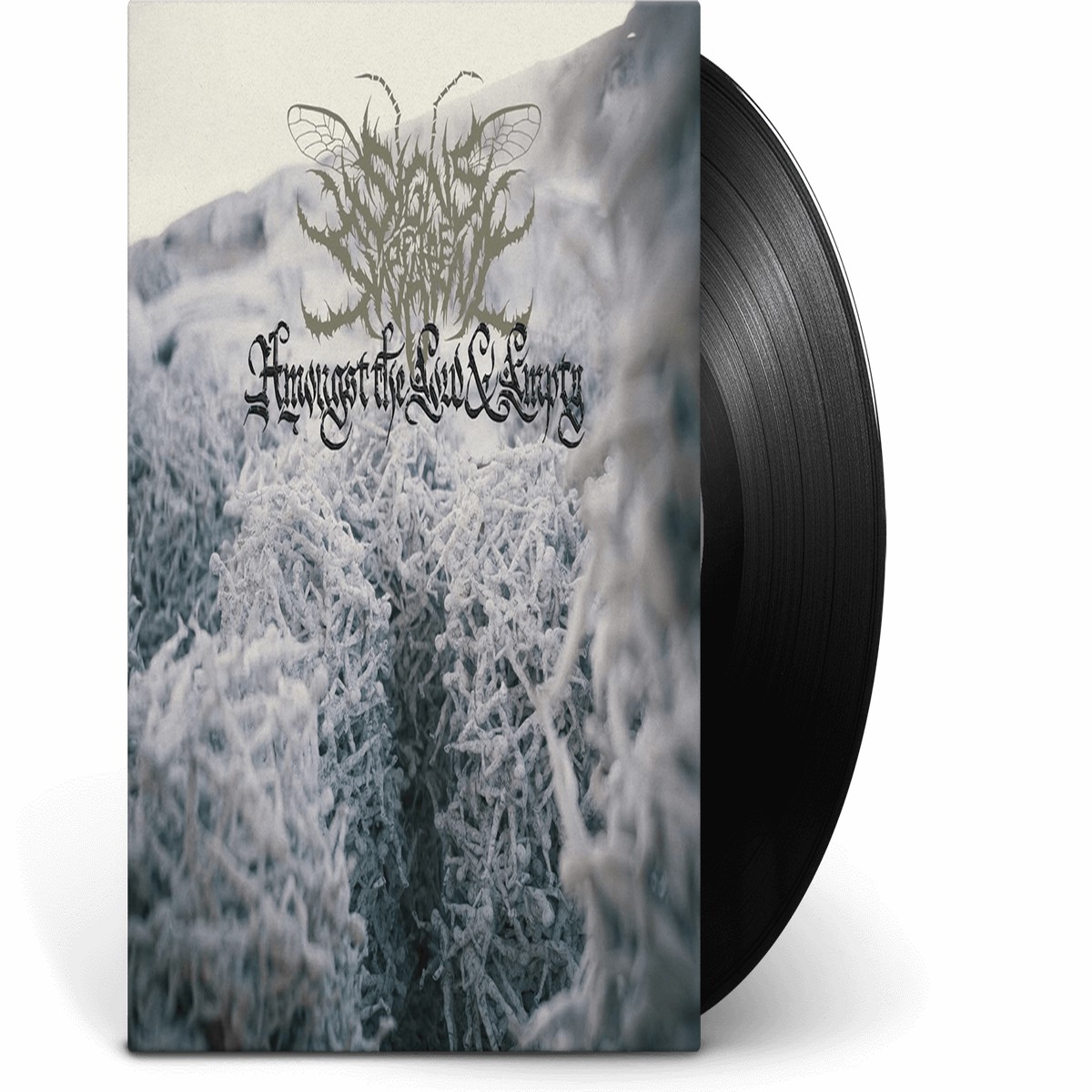 Signs of the Swarm : Amongst The Low & Empty