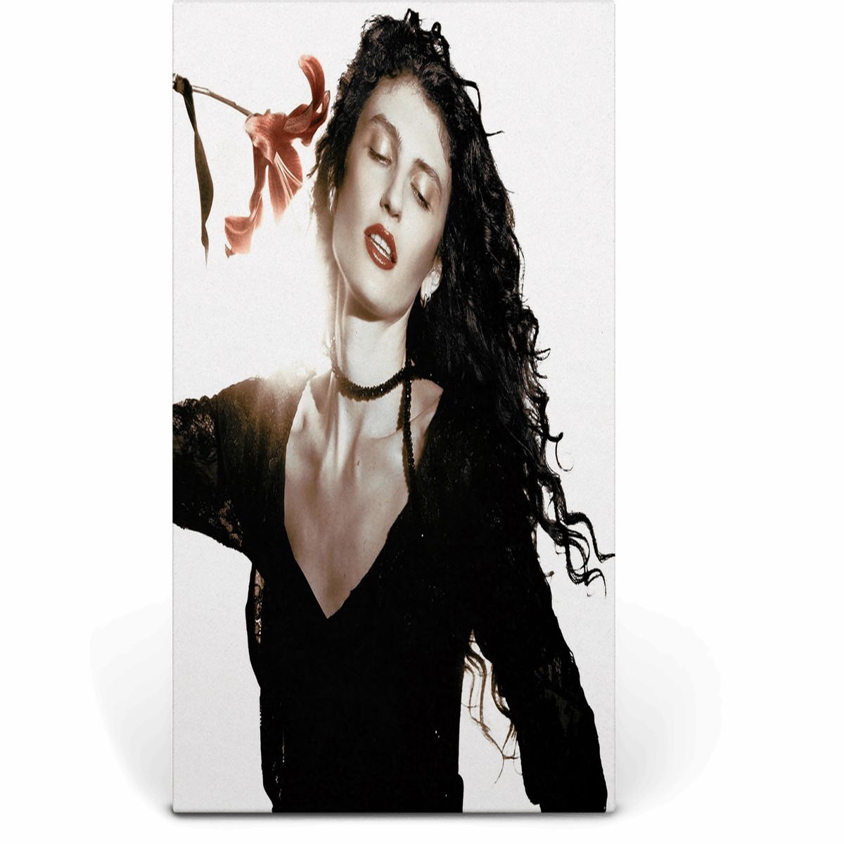 Lucia and The Best Boys : Picking Petals (Cream Vinyl)