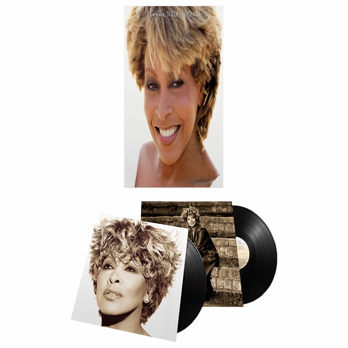 Tina Turner : Wildest Dreams
