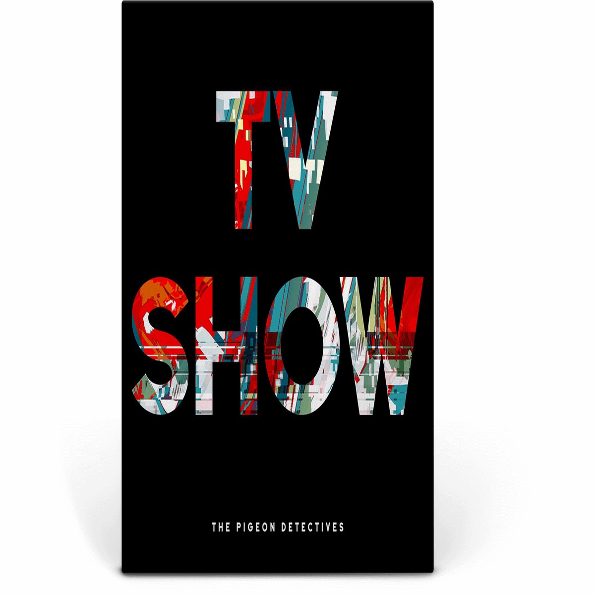 The Pigeon Detectives : TV Show