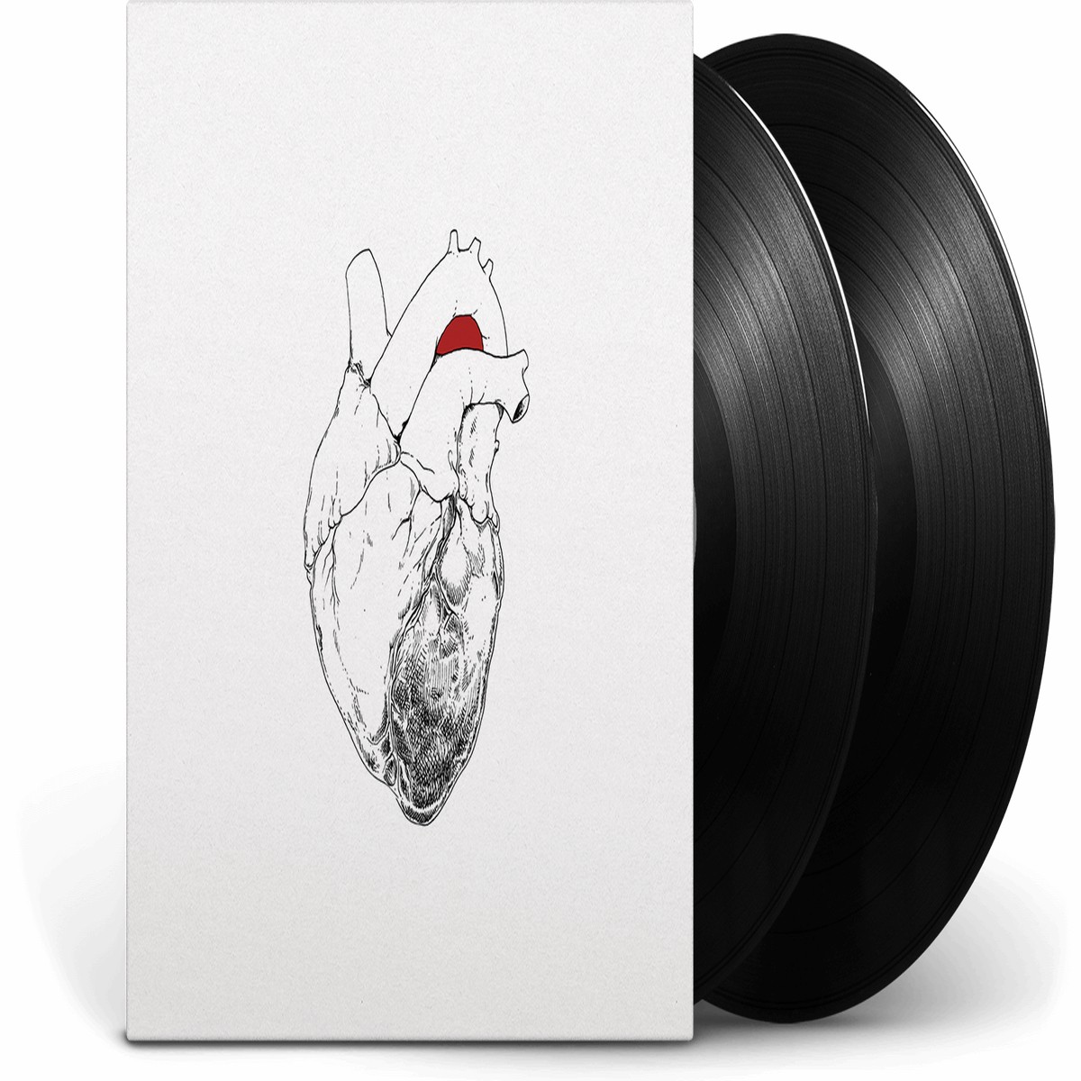 Swans : The Beggar