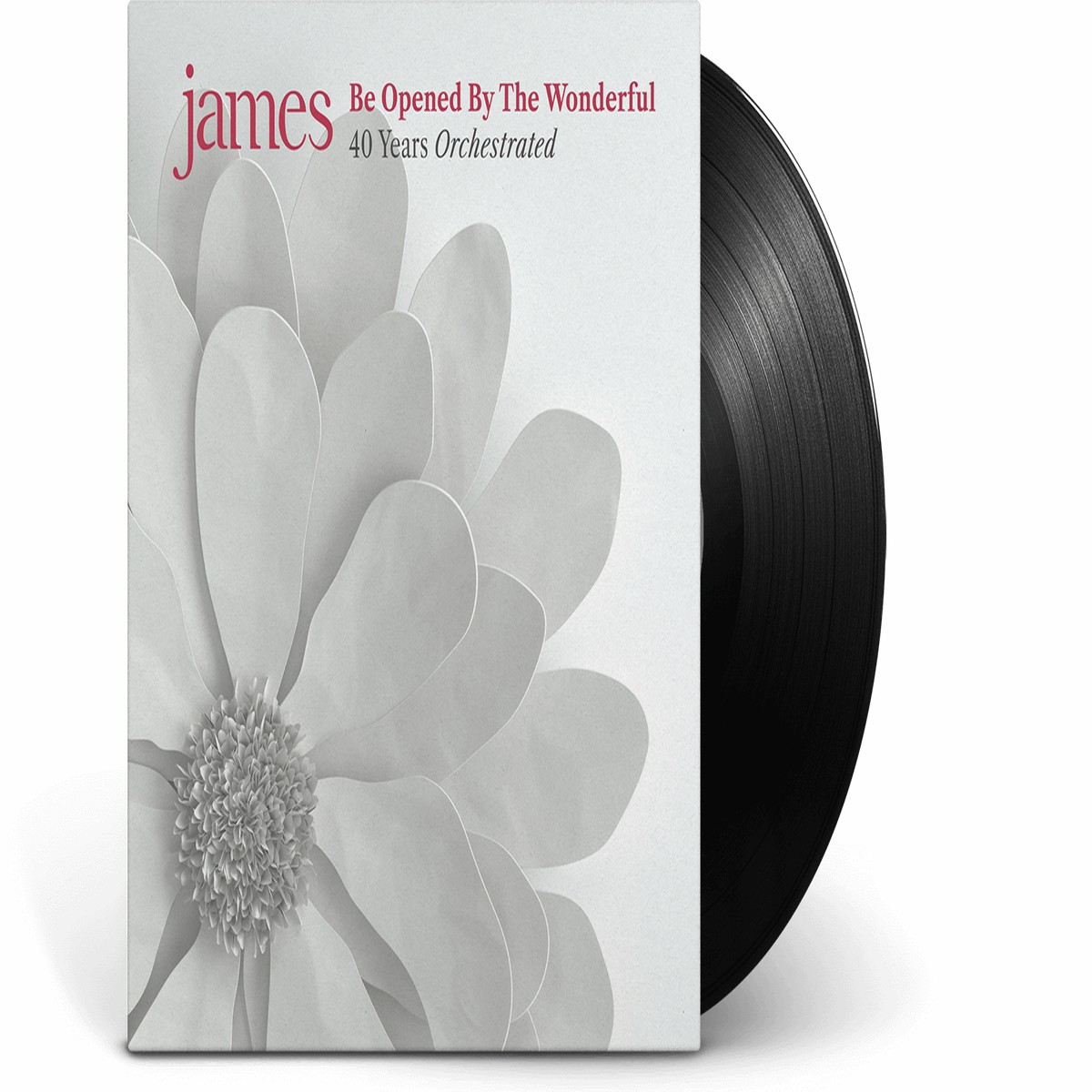James : Be Opened By The Wonderful
