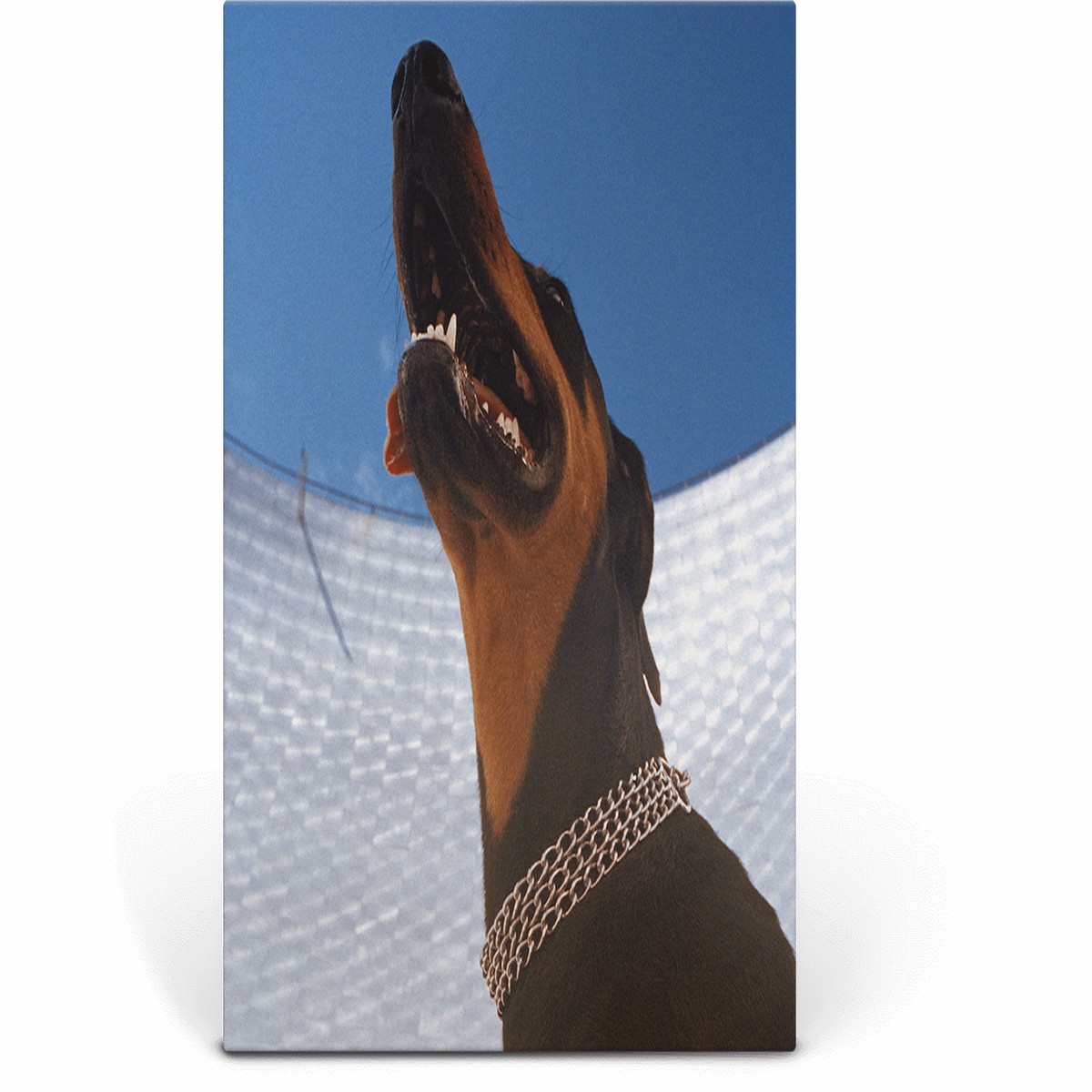 Overmono : Good Lies (Crystal Clear Vinyl)