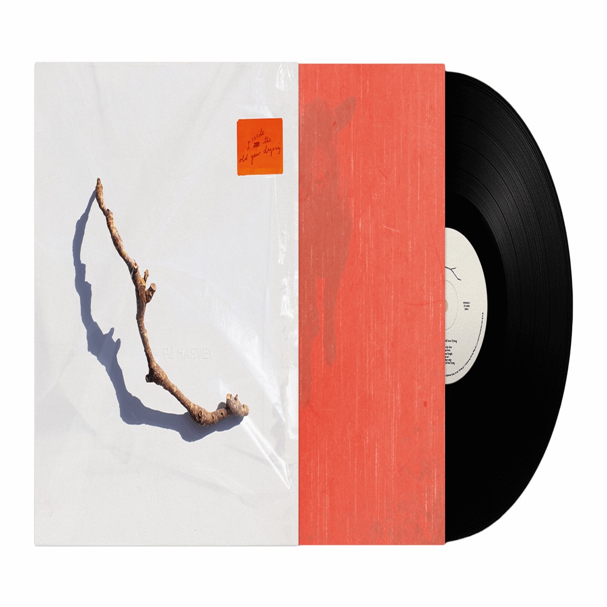 PJ Harvey : I Inside the Old Year Dying