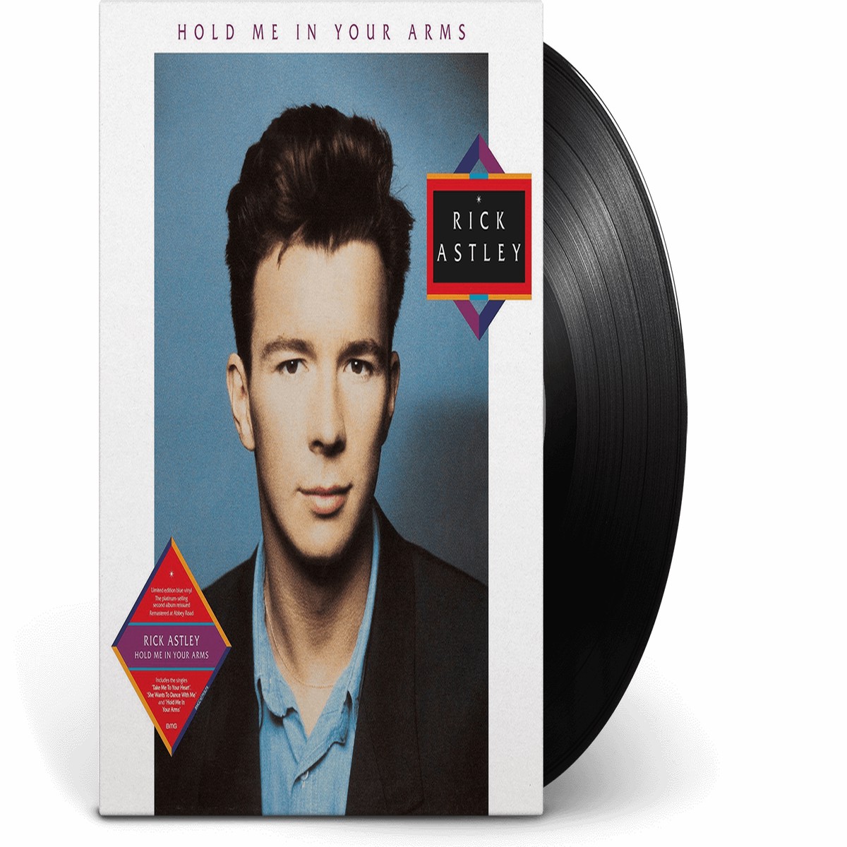 Rick Astley : Hold Me in Your Arms