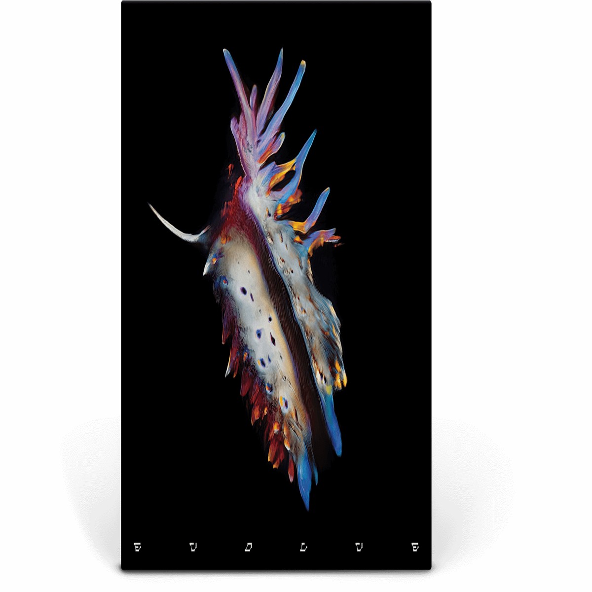 Sub Focus : Evolve (Ltd Lenticular Vinyl)