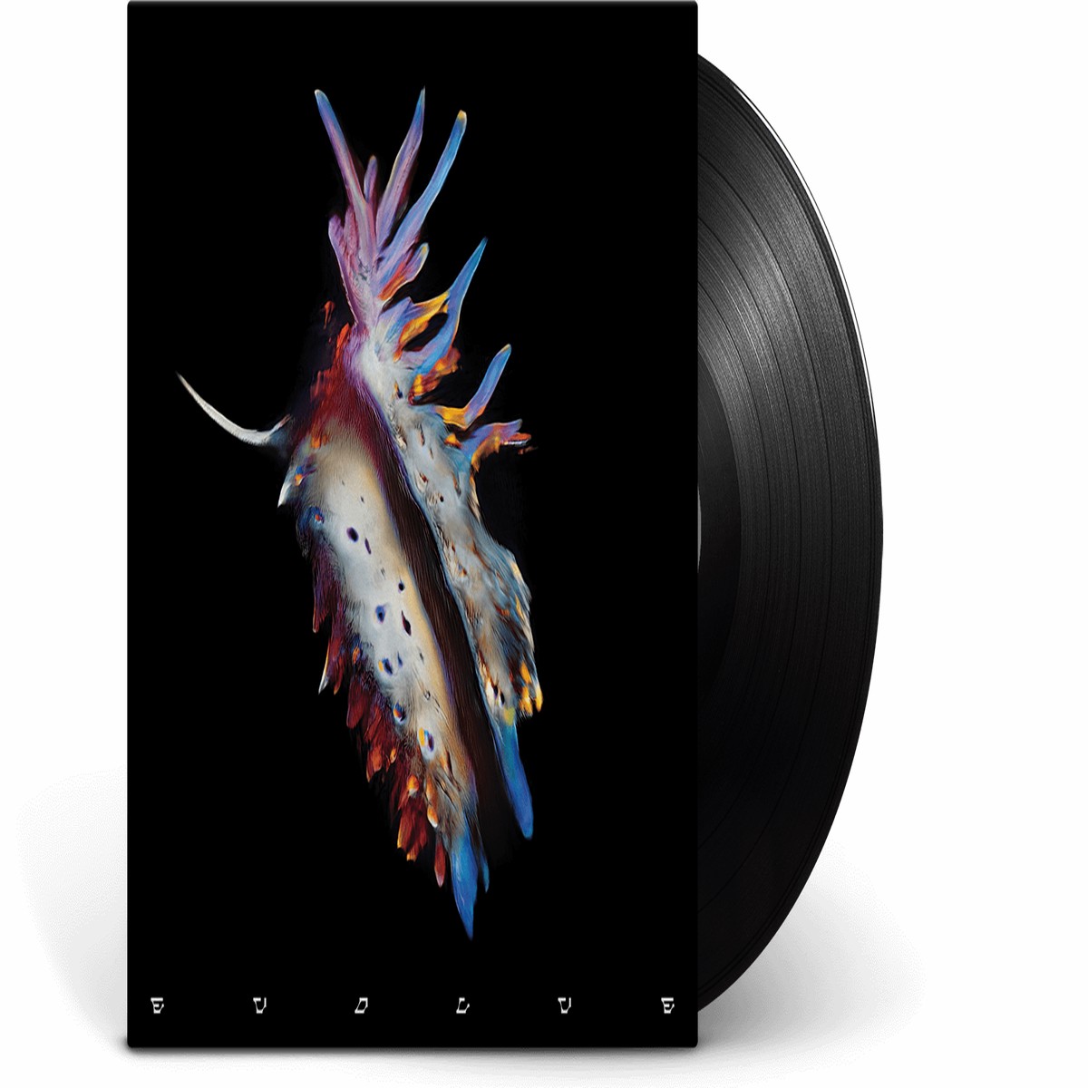 Sub Focus : Evolve