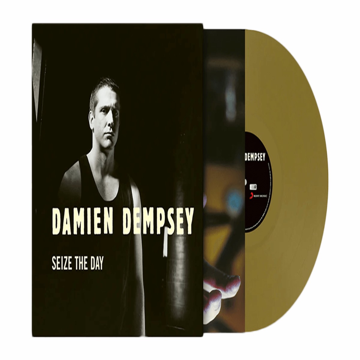 Damien Dempsey : Seize The Day (20th Anniversary Opaque Gold Vinyl)
