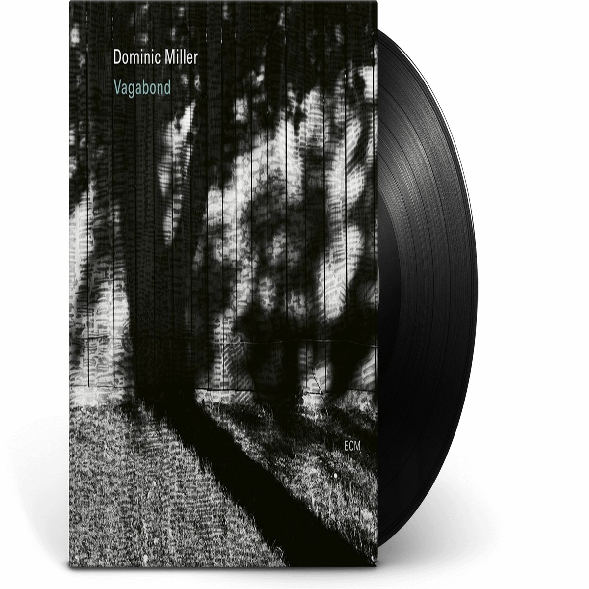 Dominic Miller : Vagabond