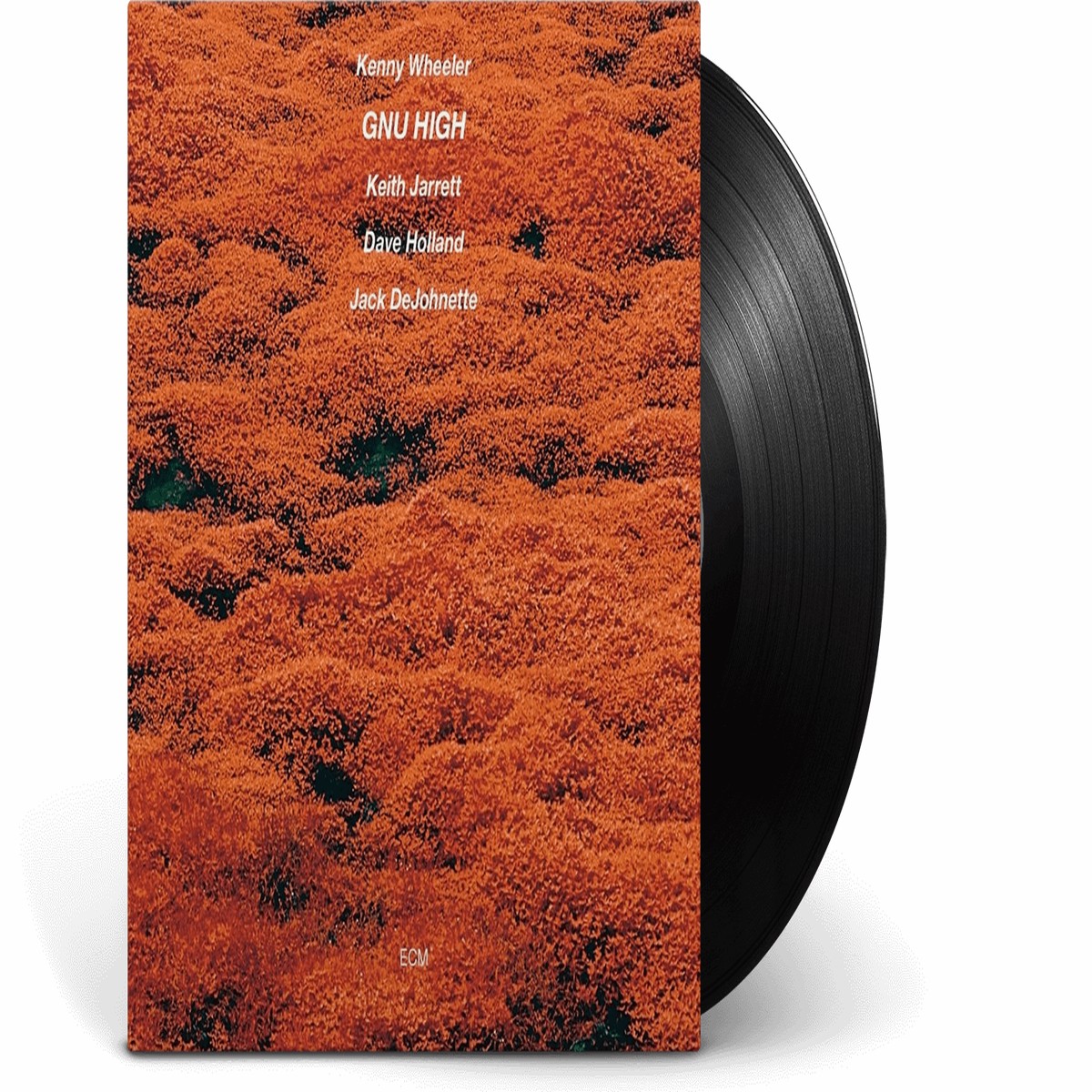 Kenny Wheeler : Gnu High (Luminessence Series Audiophile Edition)