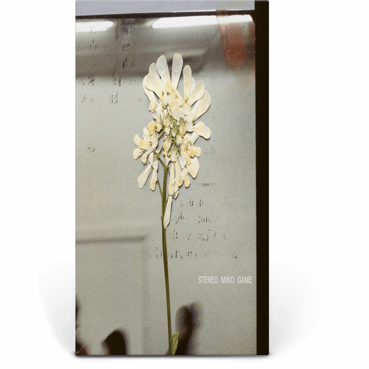 Daughter : Stereo Mind Game (Eco Coloured Vinyl)