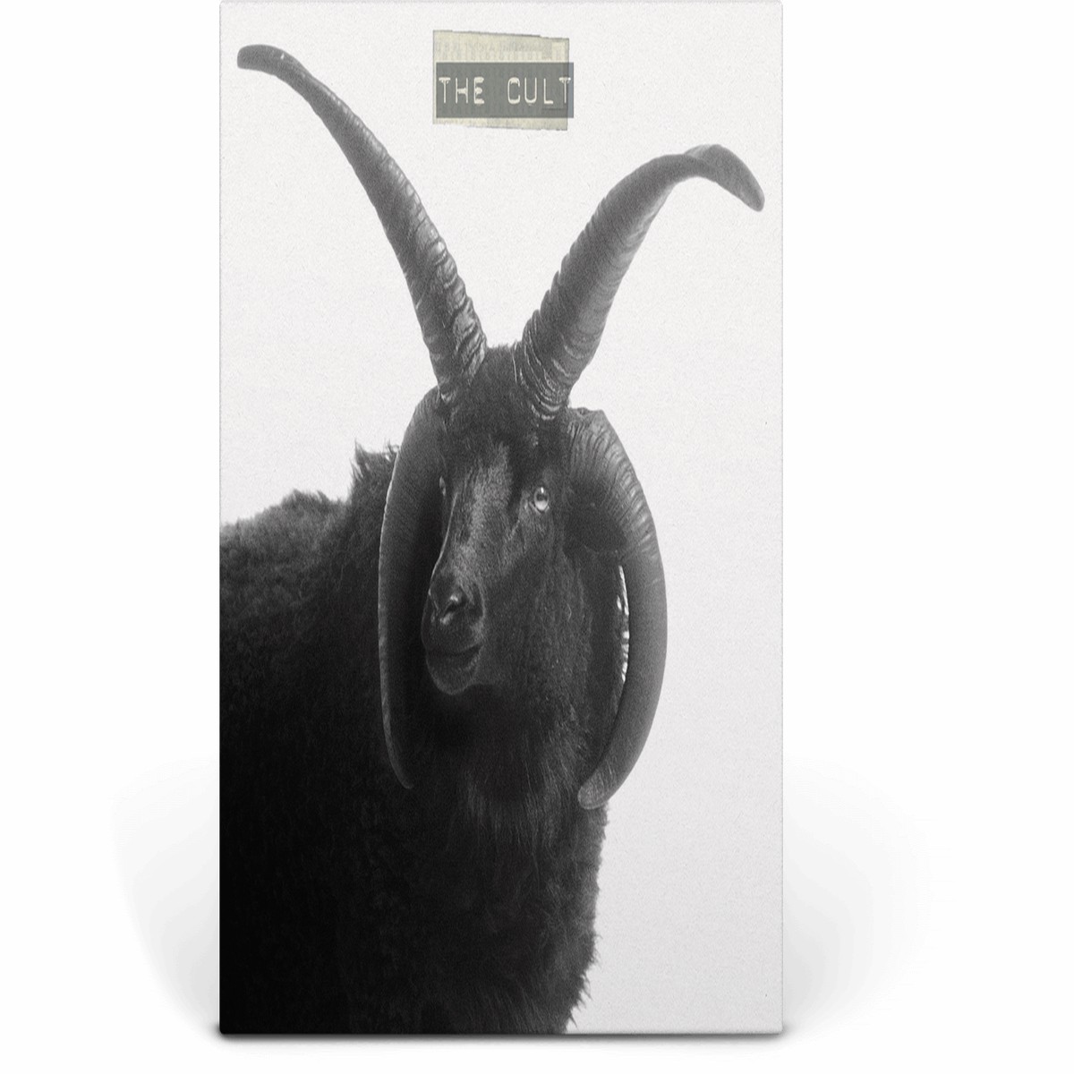 The Cult : The Cult (Ltd Cream Vinyl)