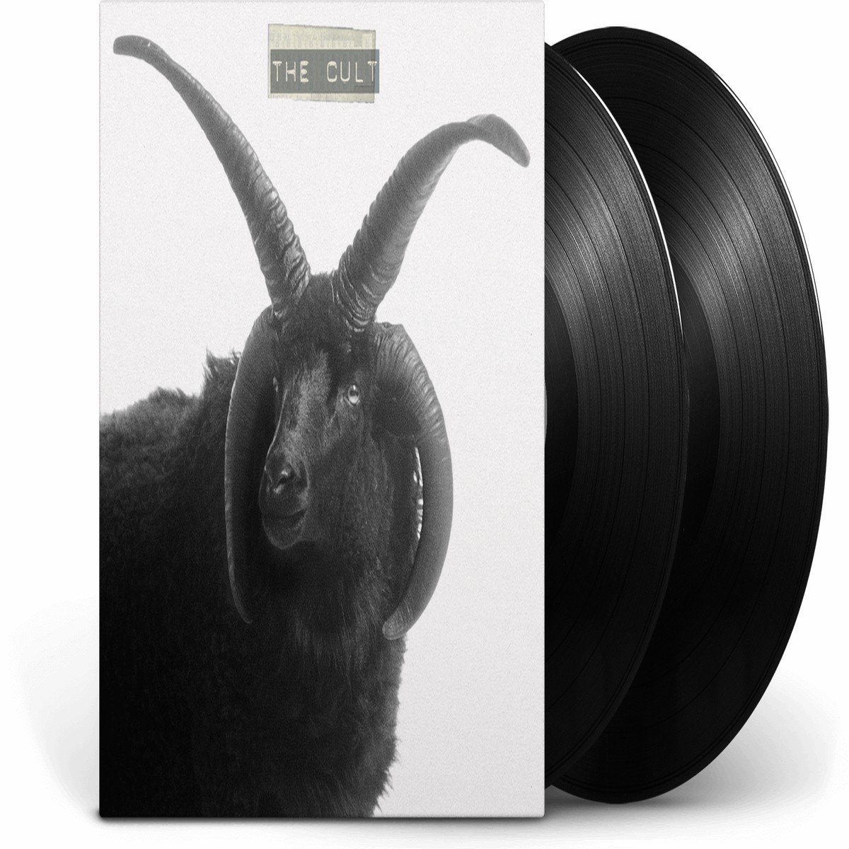The Cult : The Cult