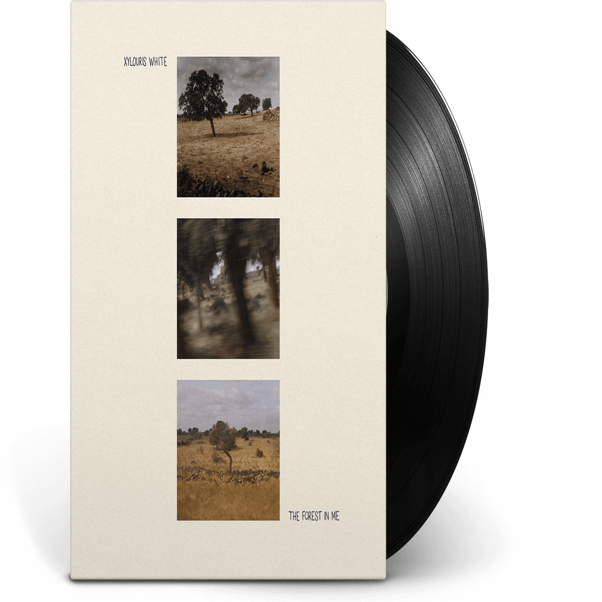 Xylouris White : The Forest in Me