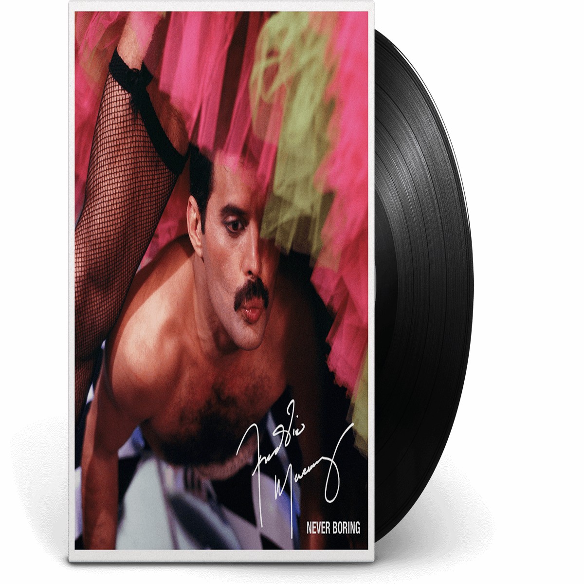 Freddie Mercury : Never Boring