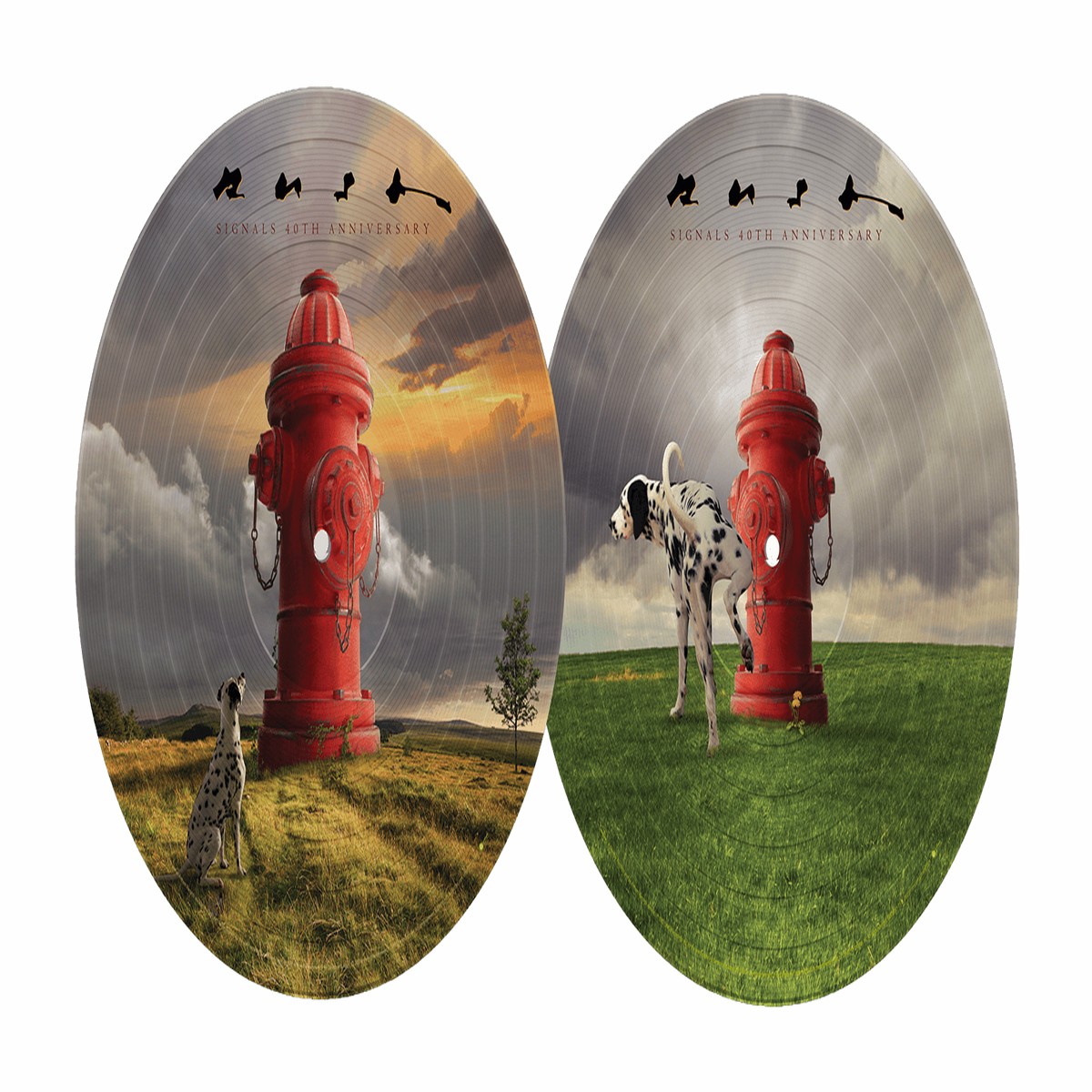 Rush : Signals (40th Anniversary Picture Disc)