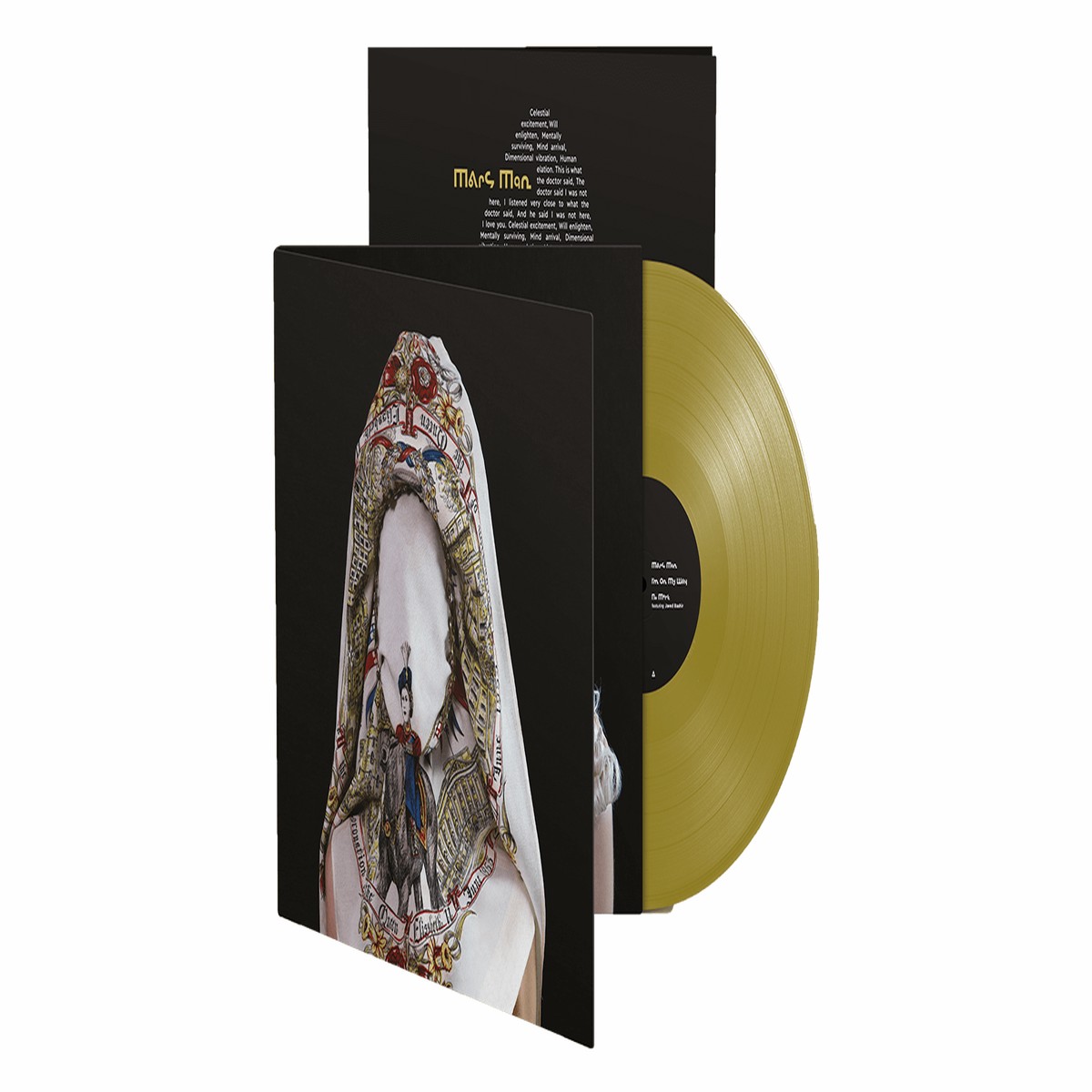 Steve Mason : Brothers & Sisters (Ltd Gold Vinyl)