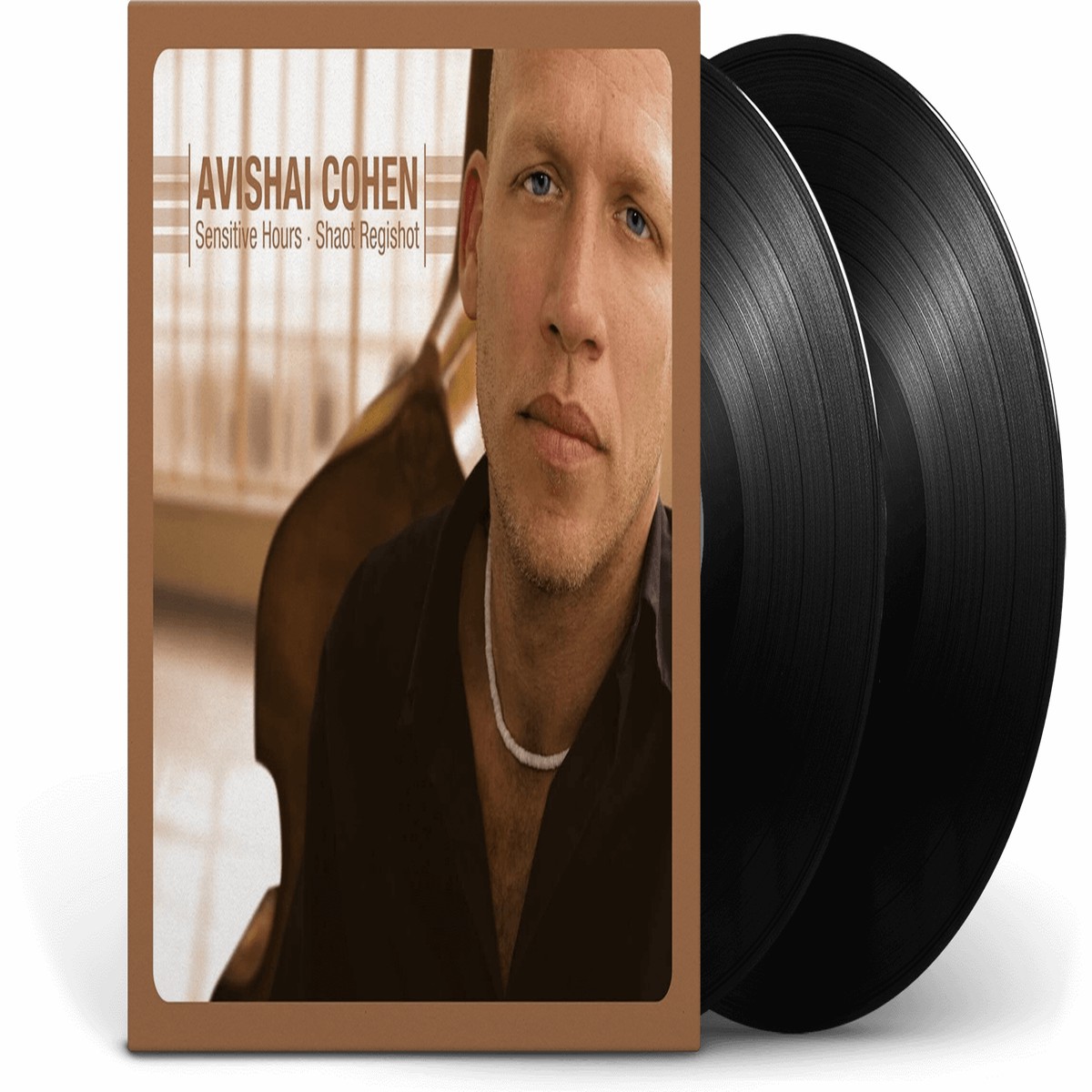 Avishai Cohen : Sensitive Hours -Shaot Regishot