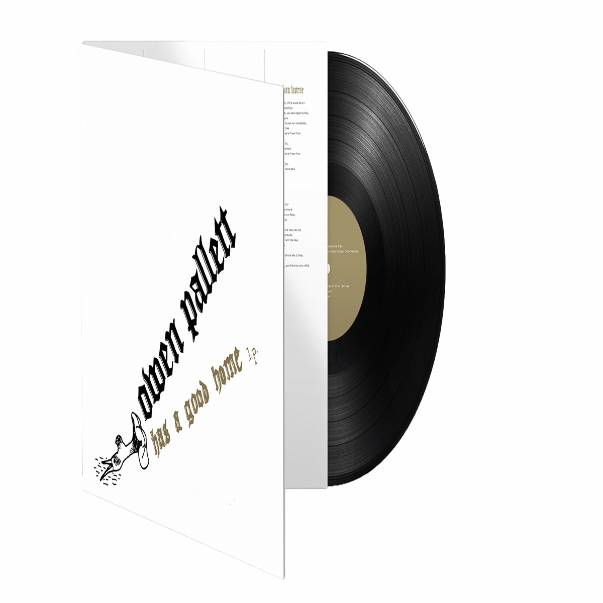 Owen Pallett : Has A Good Home