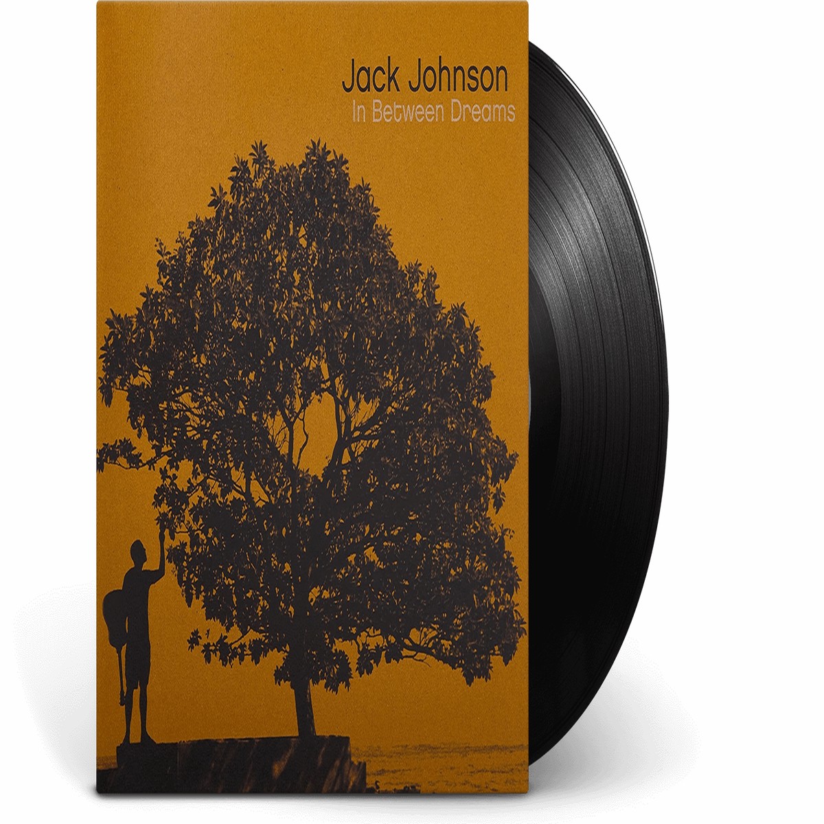 Jack Johnson : In Between Dreams