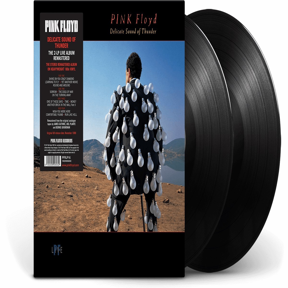 Pink Floyd : Delicate Sound Of Thunder