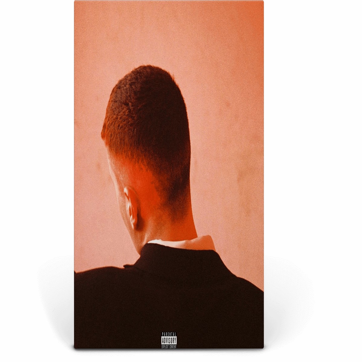 Joesef : Permanent Damage (Eco Mix Vinyl)