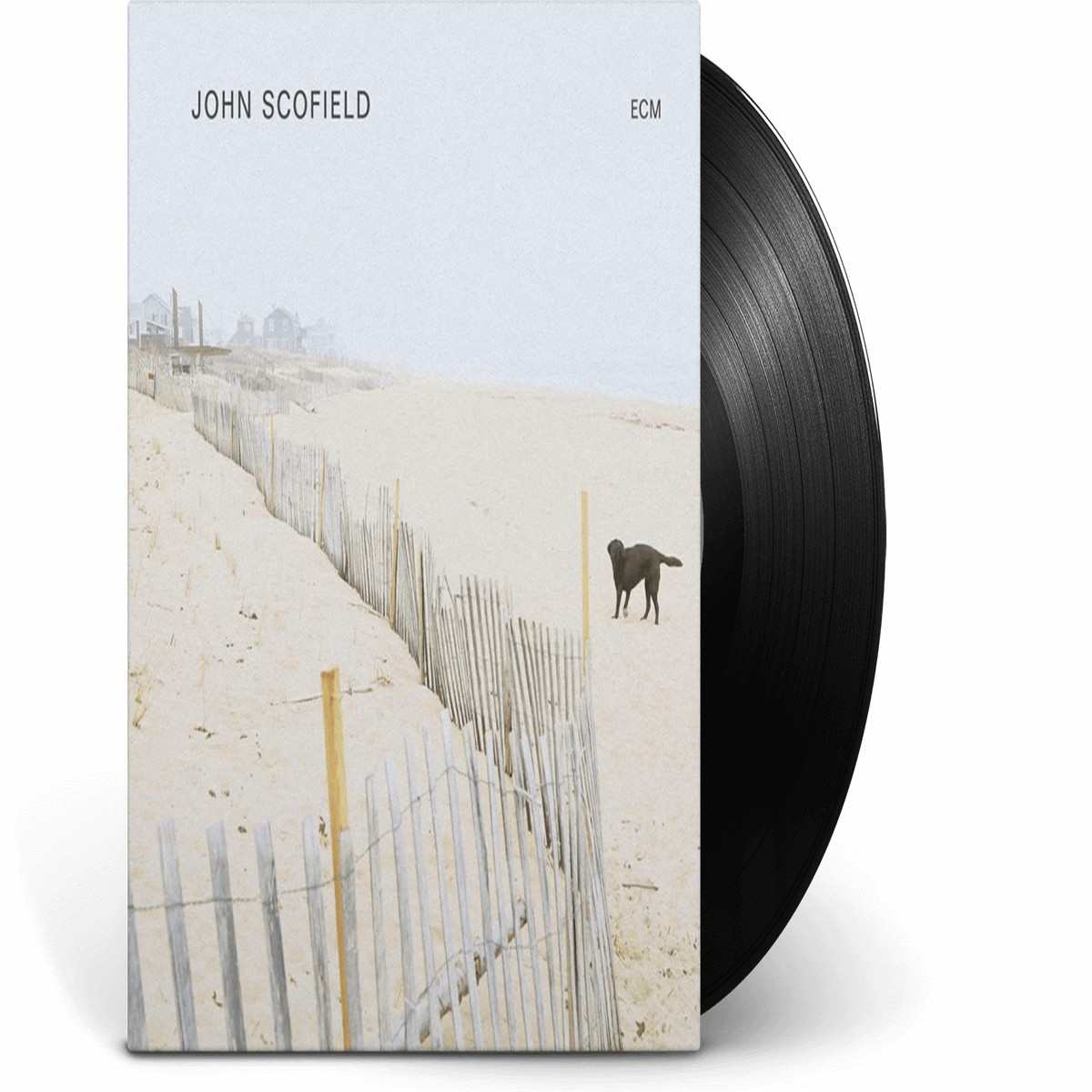 John Scofield : John Scofield