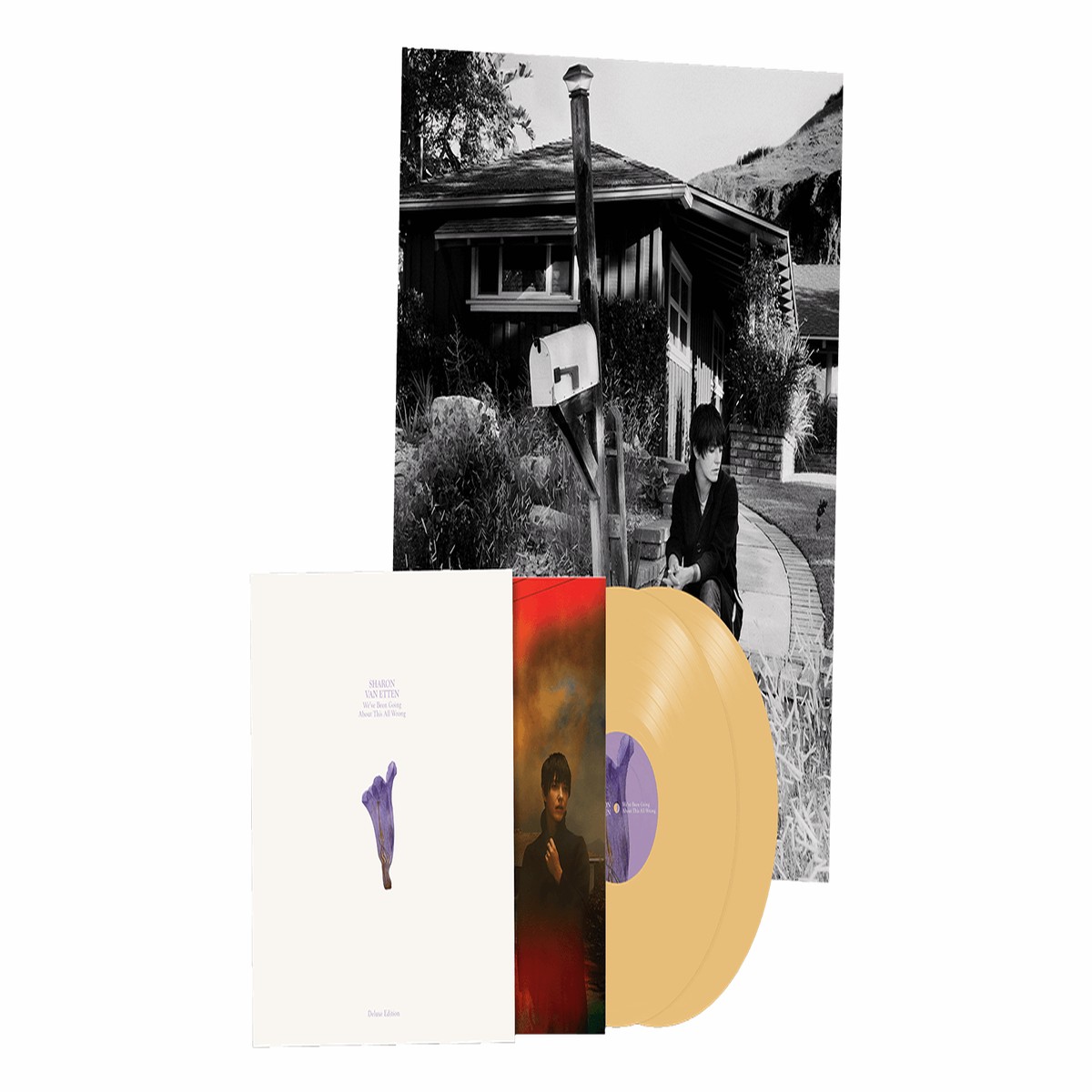 Sharon Van Etten : We’ve Been Going About This All Wrong (Deluxe Custard Vinyl Edition)