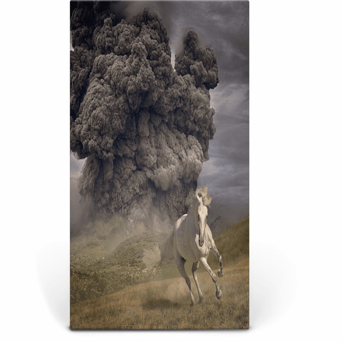 The White Buffalo : Year of the Dark Horse (Opaque Grey Vinyl)