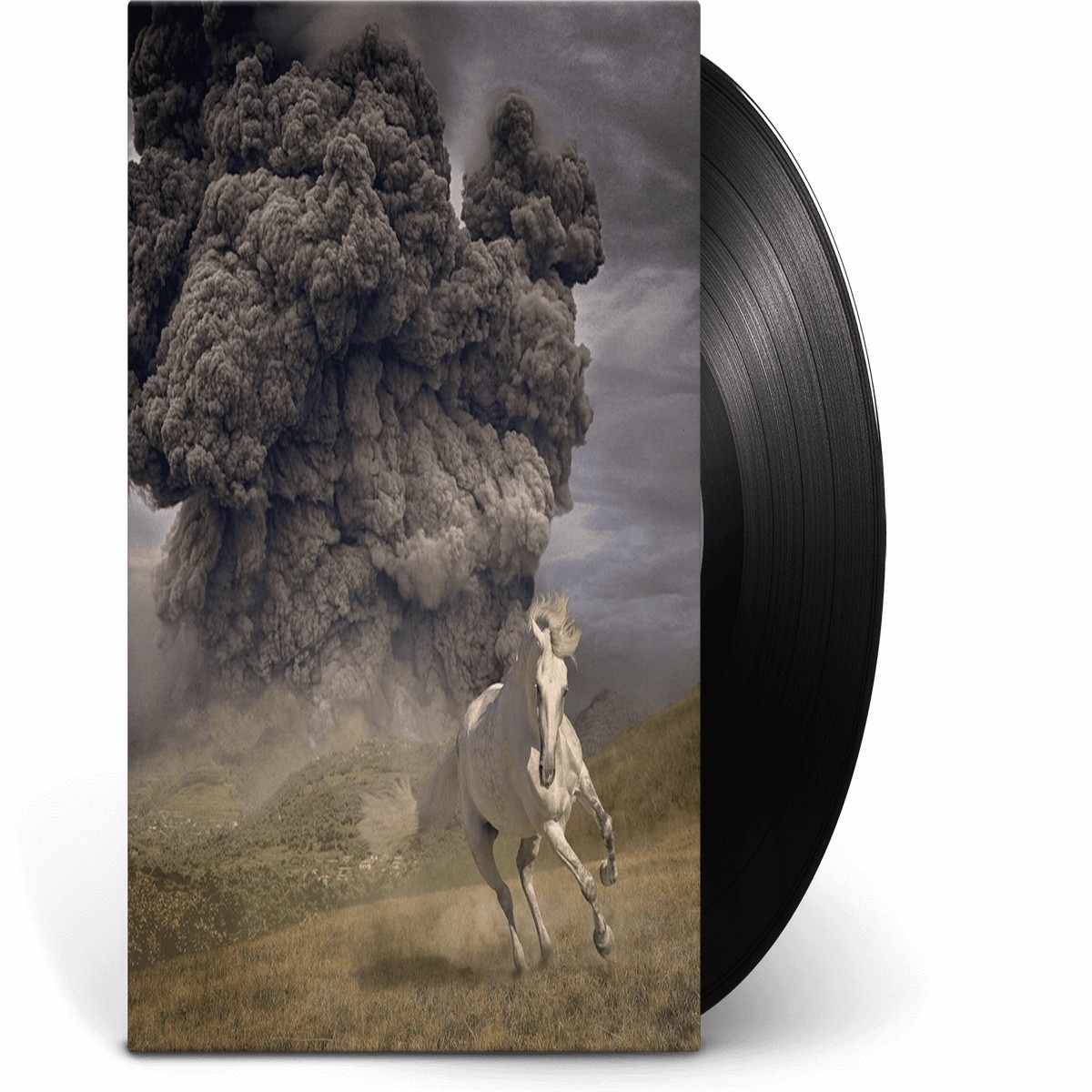 The White Buffalo : Year of the Dark Horse