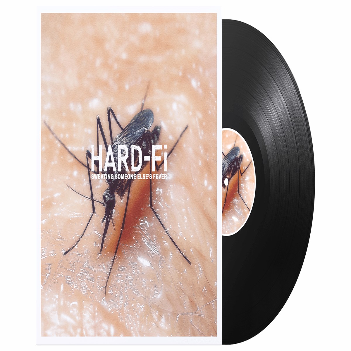 Hard-Fi : Sweating Someone Else’s Fever