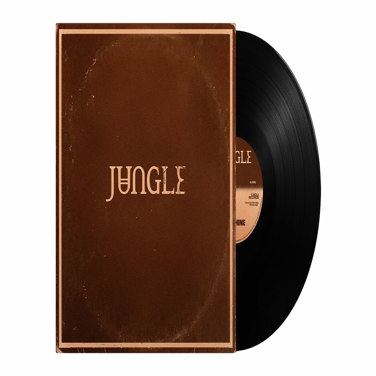 Jungle : Sunshine